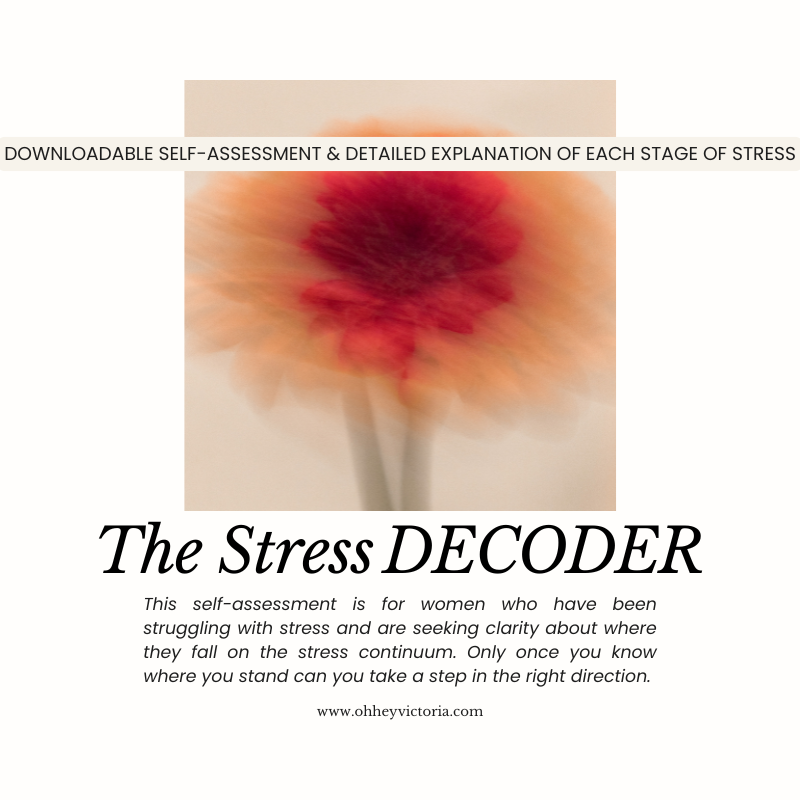The Stress Decoder product image.png