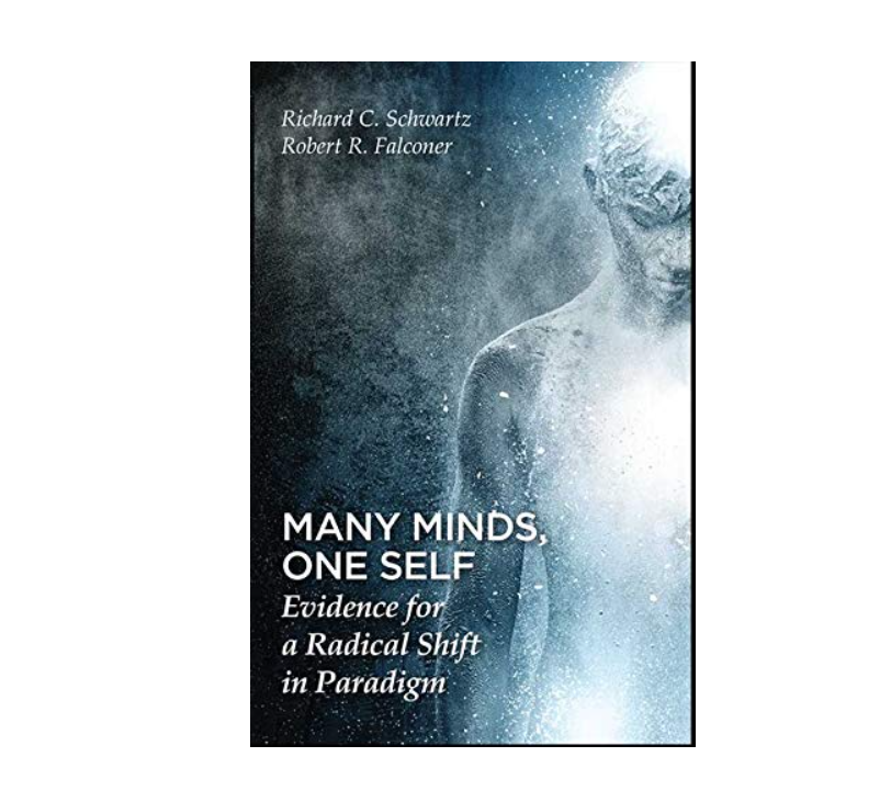 Book cover of 'Many Minds, One Self' by Richard C. Schwartz and Robert R. Falconer, featuring an abstract image of a human figure dissolving into a misty background.