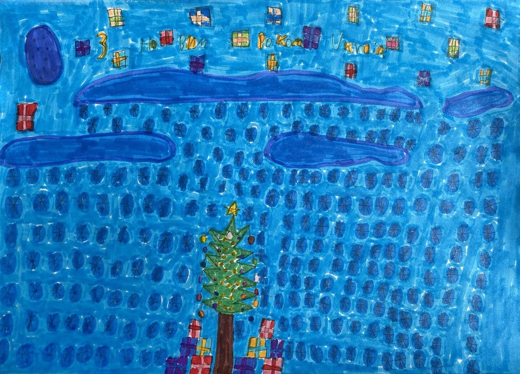   45. Myrolsava Kudinova   
 10 years old, Buchansky Lyceum #4 
   