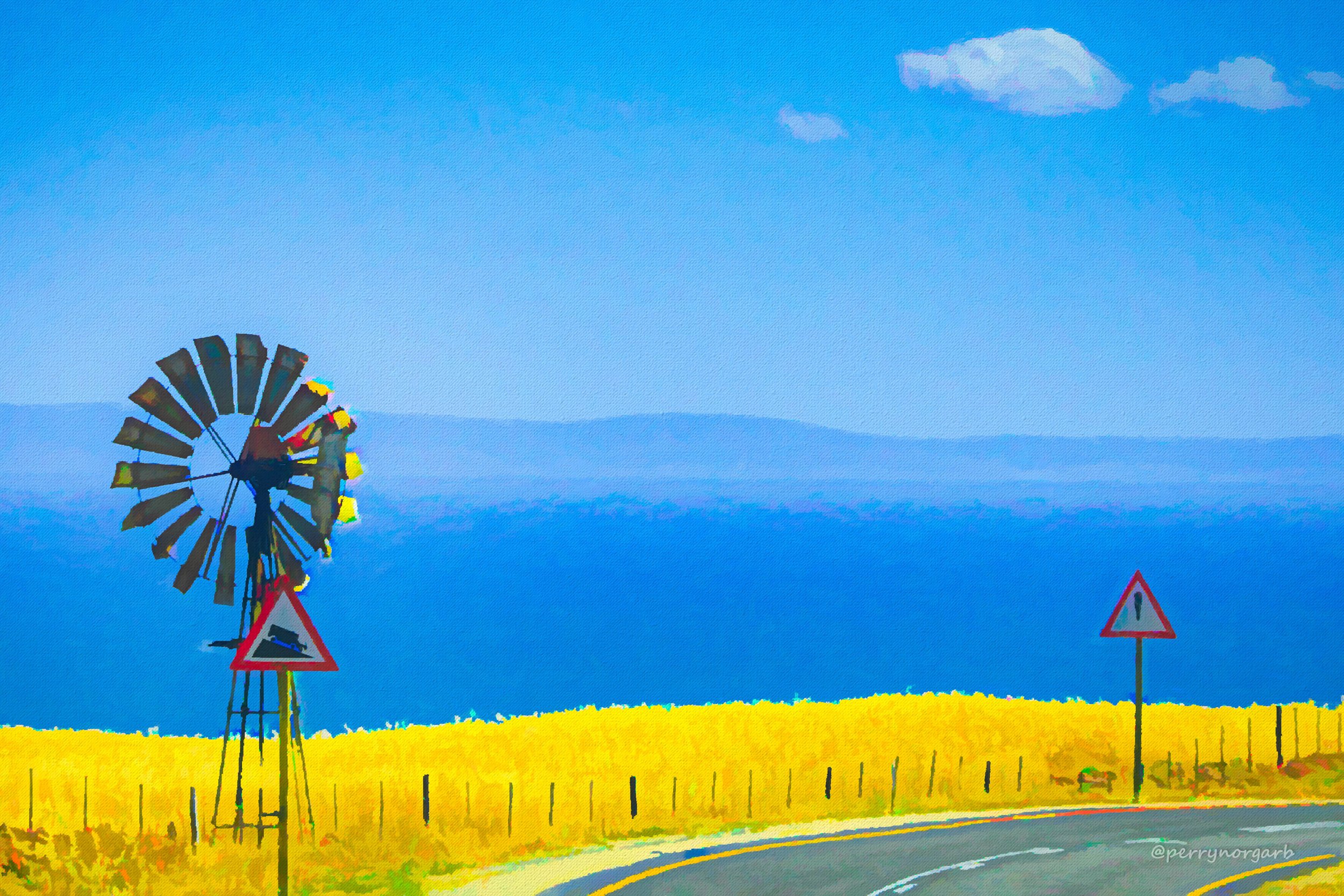 ‘Painterly’ Images 2.