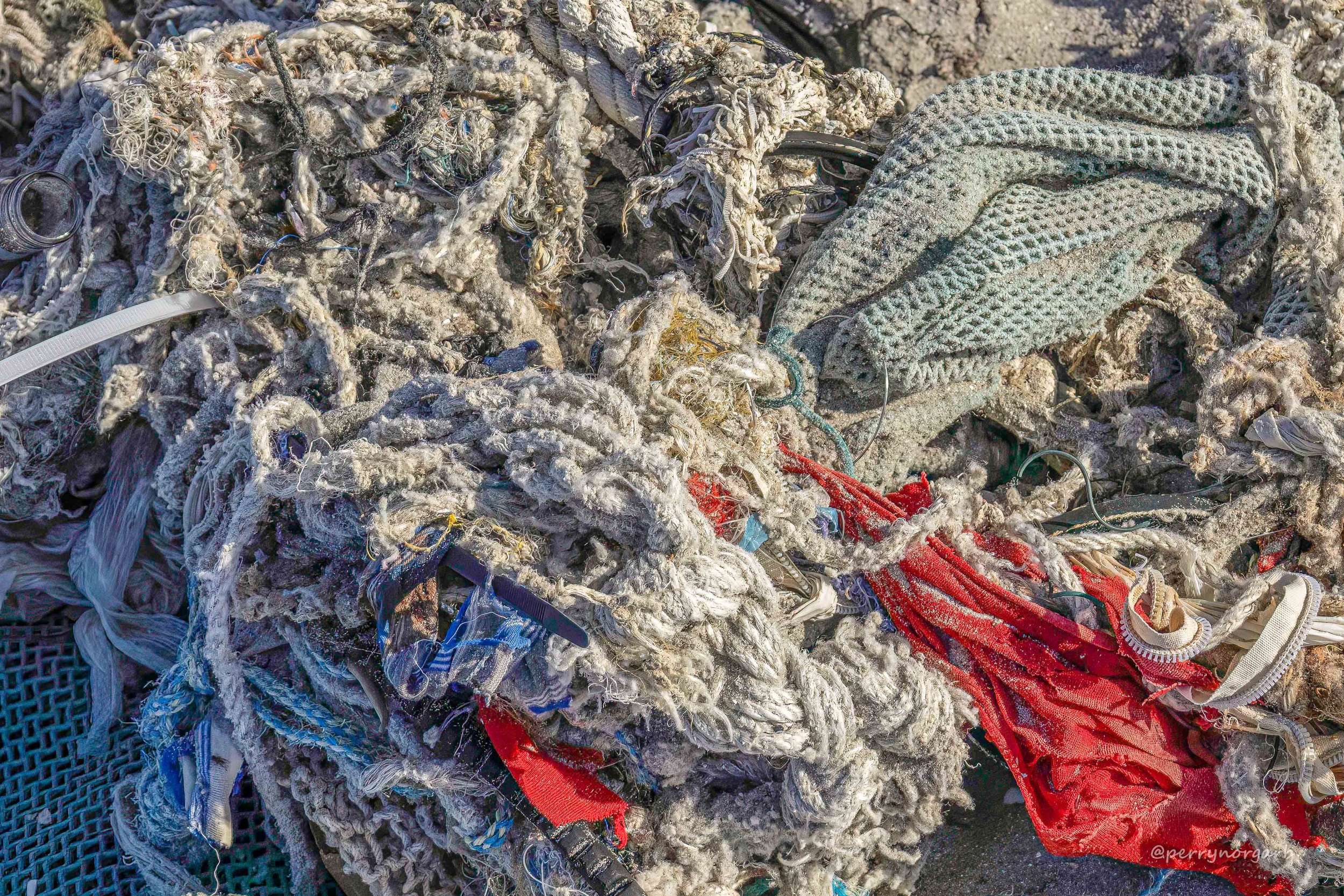 Tangled flotsam and fishing debris washed up on West Coast beach, South Africa