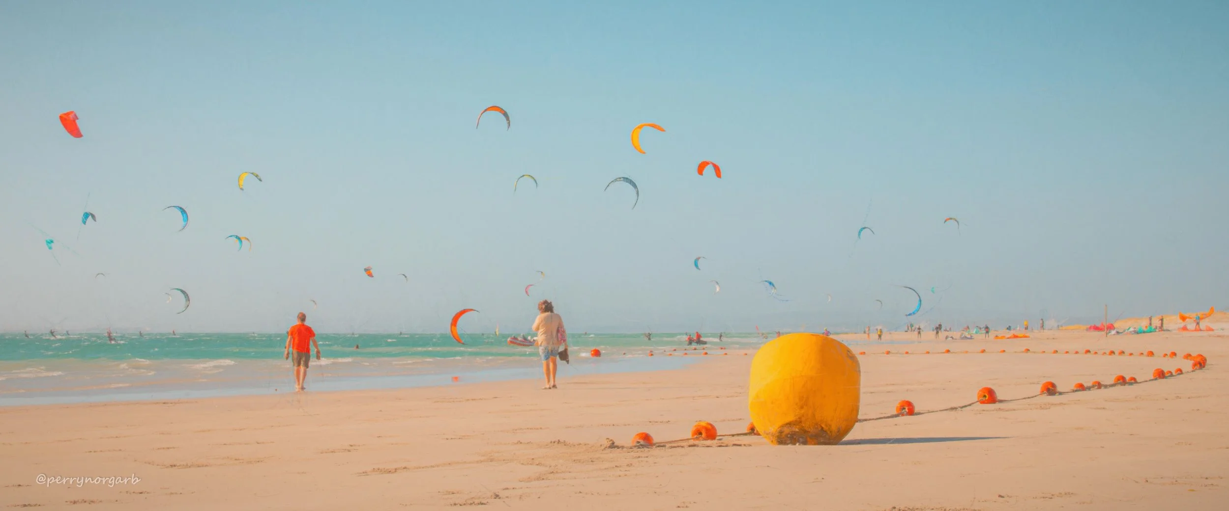 IMG_3448 20240121 art kites lang wes 20240121 untitled.jpg