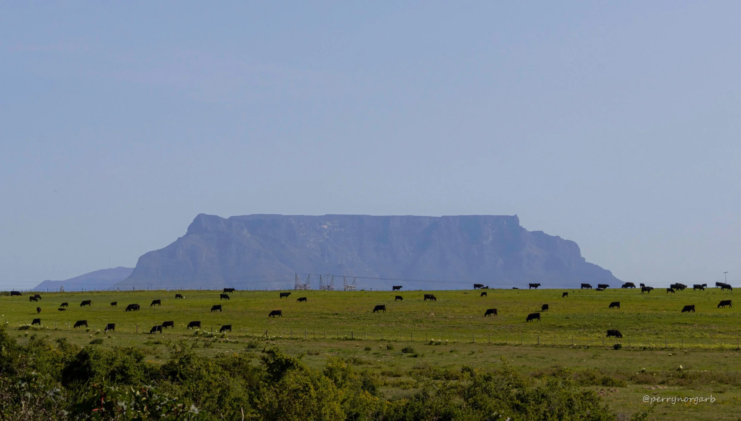 Our Beloved, Omnipresent, Table Mountain.