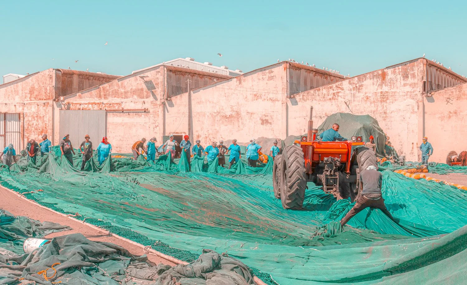 Fishing nets being gathered by a tractor. St Helena Bay harbour.jpg