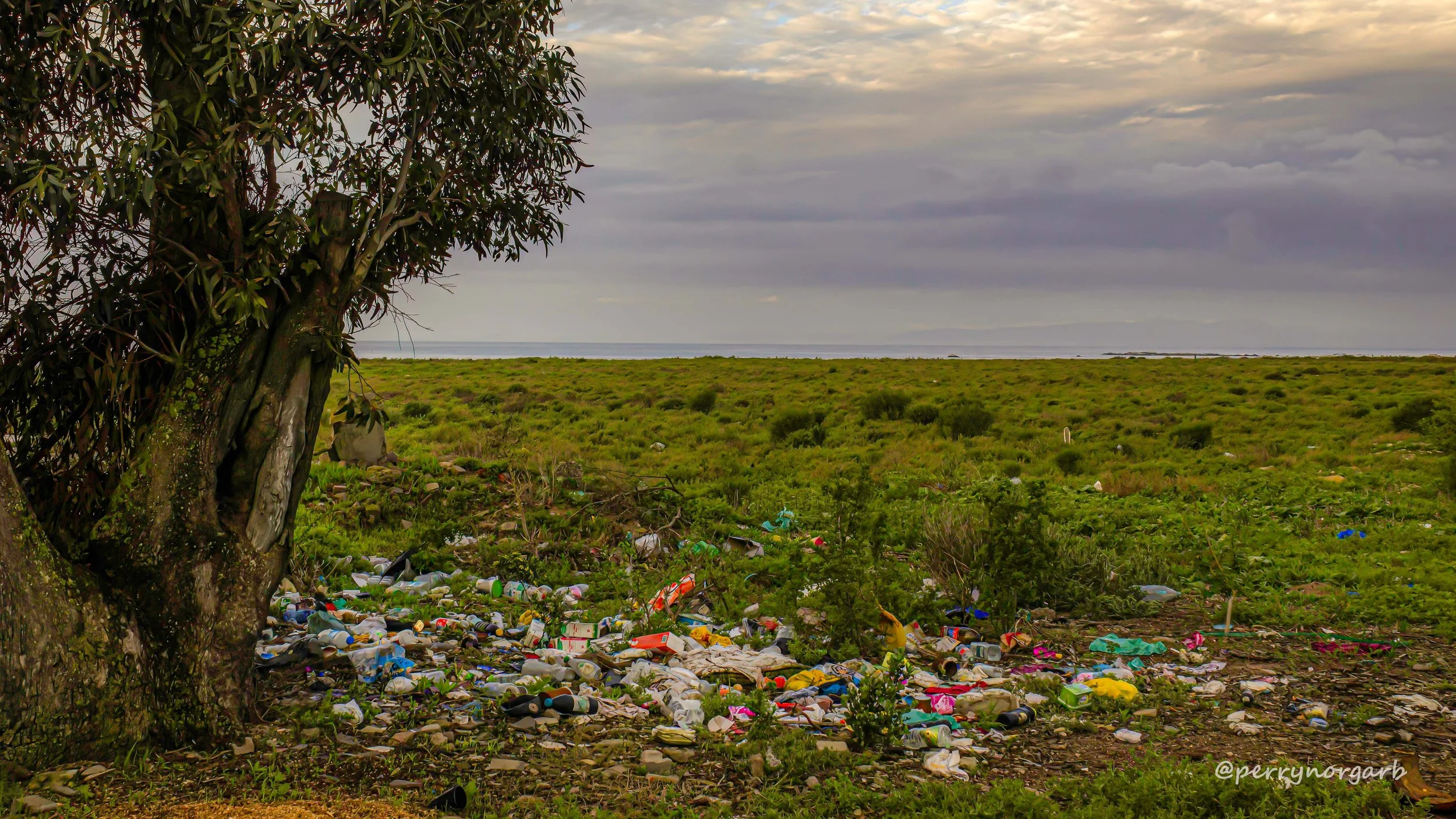 20250702 IMG_2843 16x9, bside, LITTER, RUBBISH, trash.jpg
