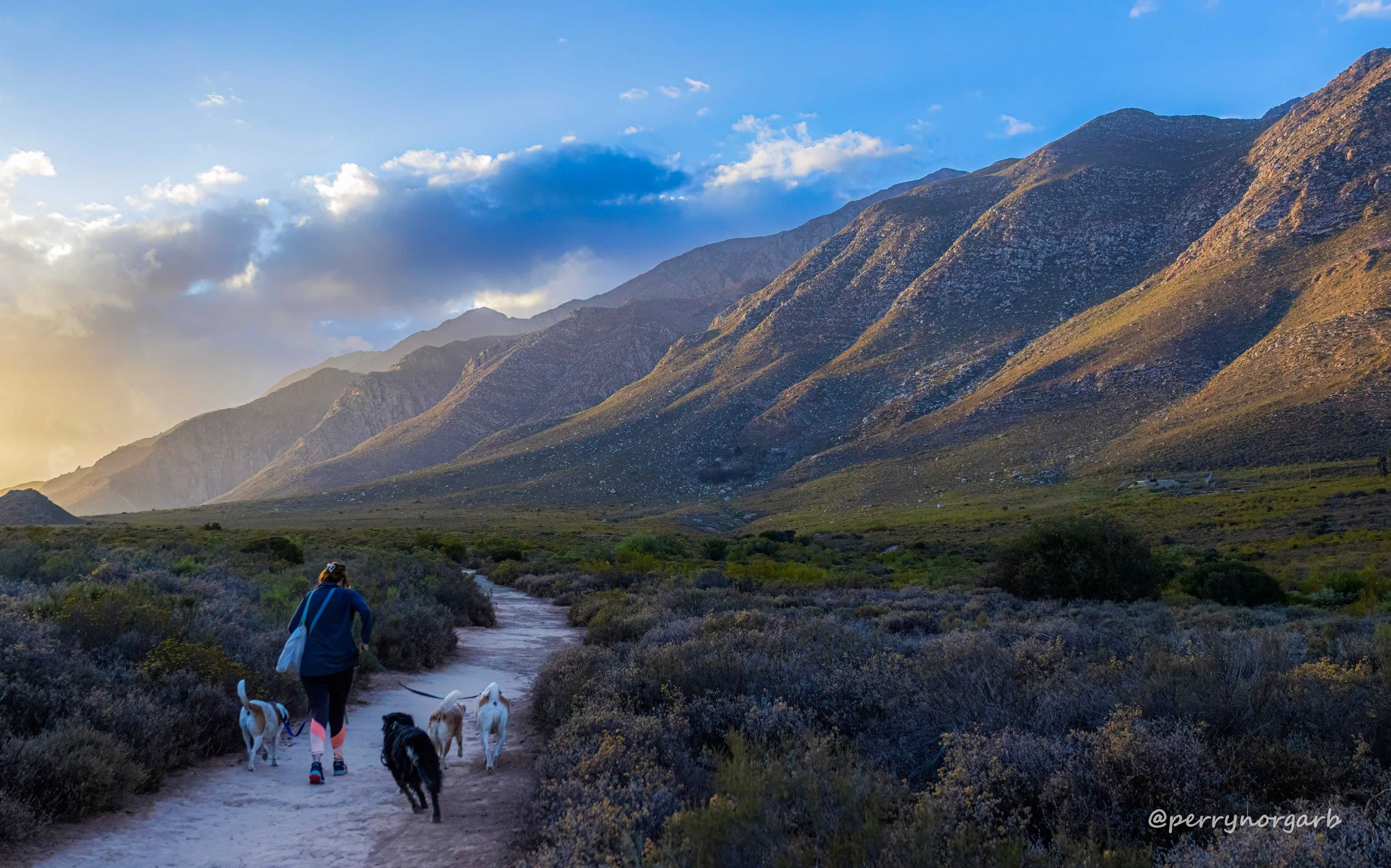 20260118 IMG_1342 hike, MONTAGU, tracey-3.jpg