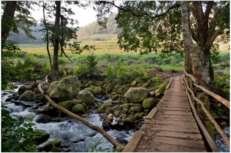 Mermaids-Bridge.jpg
