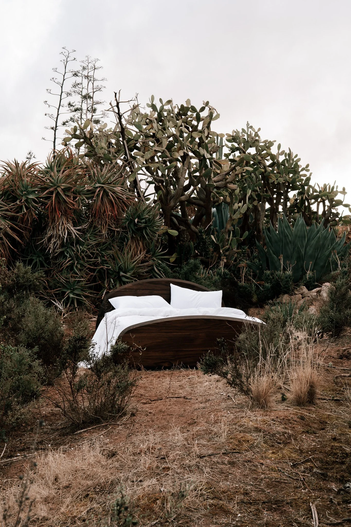 A bedroom with a wooden bed frame and white bedding set amidst desert plants and cacti under an overcast sky.