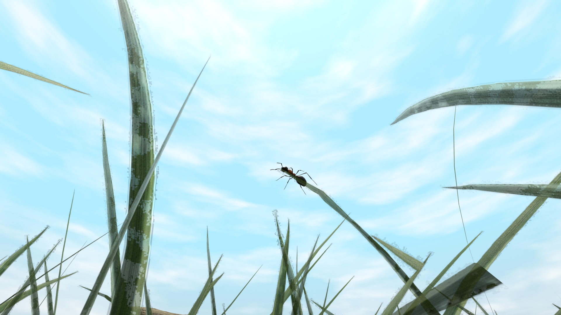 antbrrviewntfinish1.png