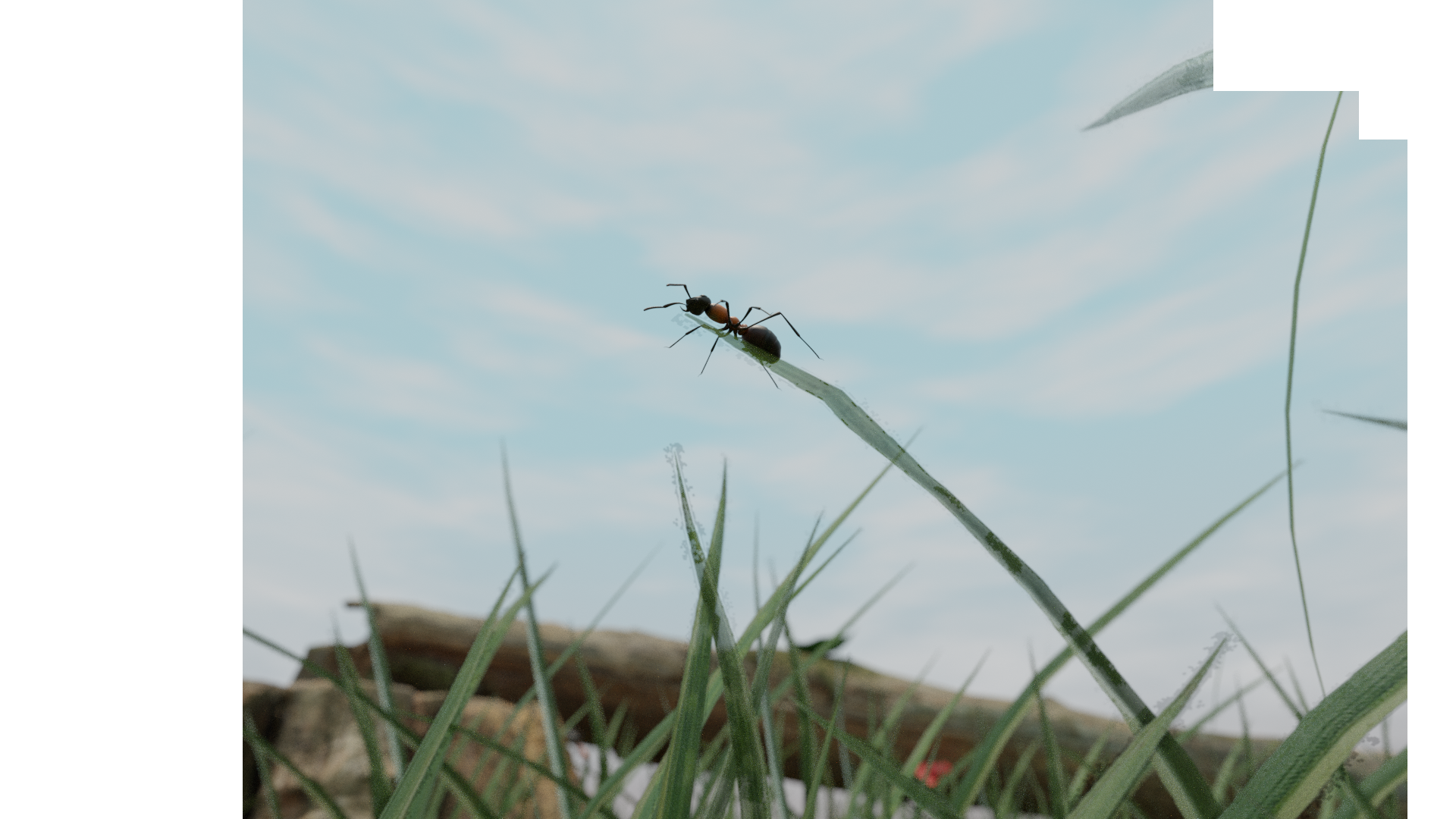 antbrrviewntfinish.png