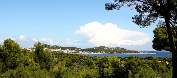View from the hill behind the house