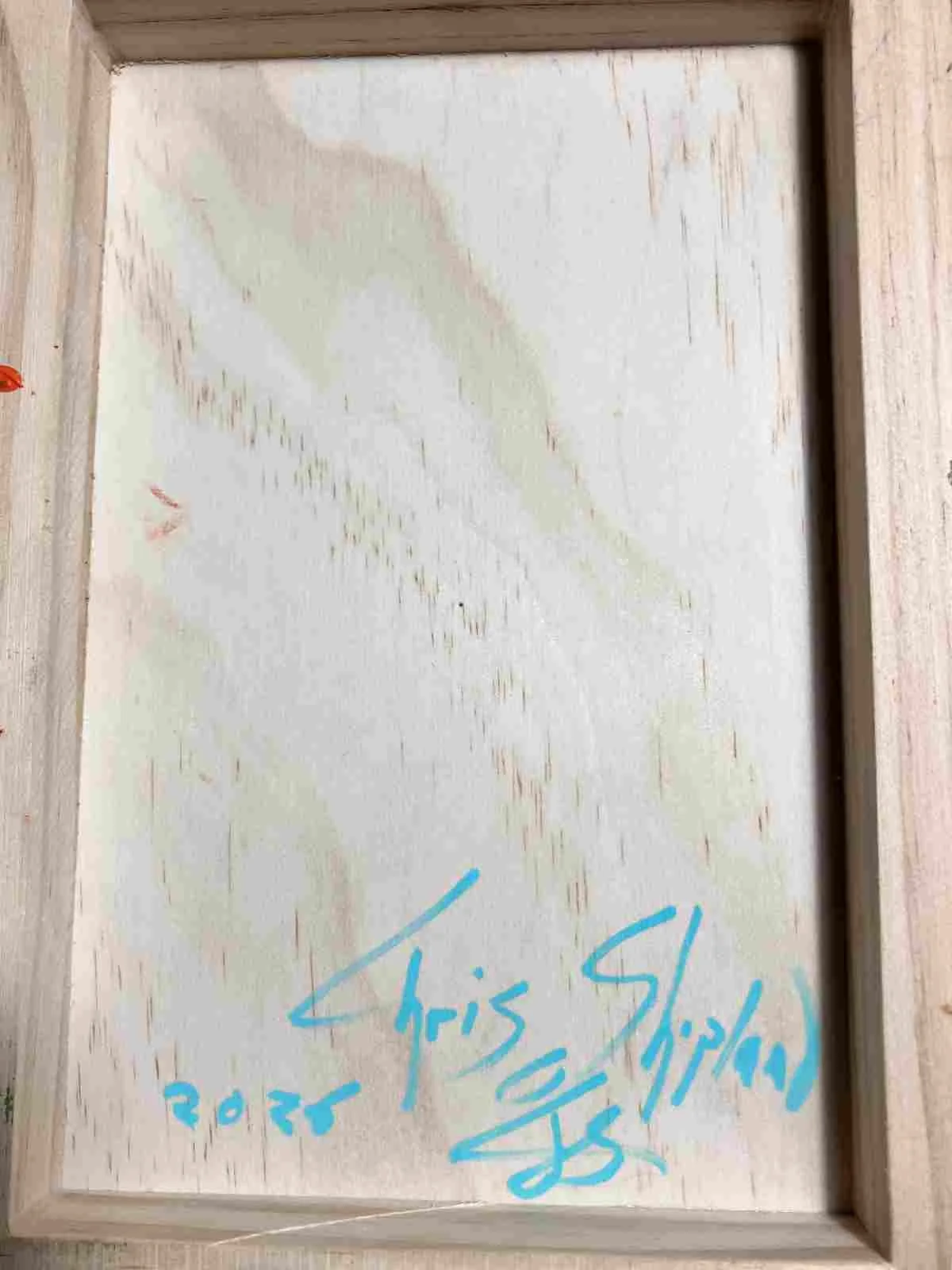 back of blue tit chris shopland.jpg