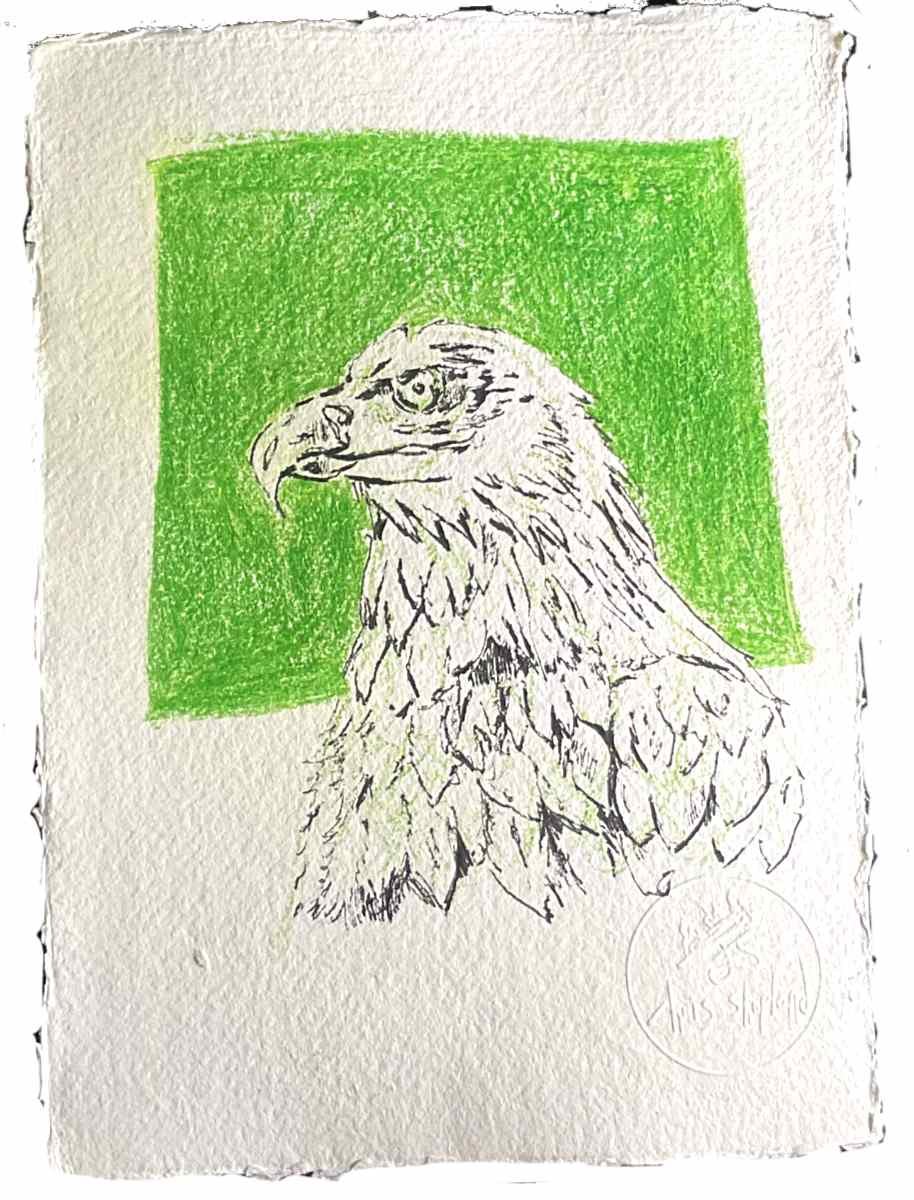 green eagle.jpg