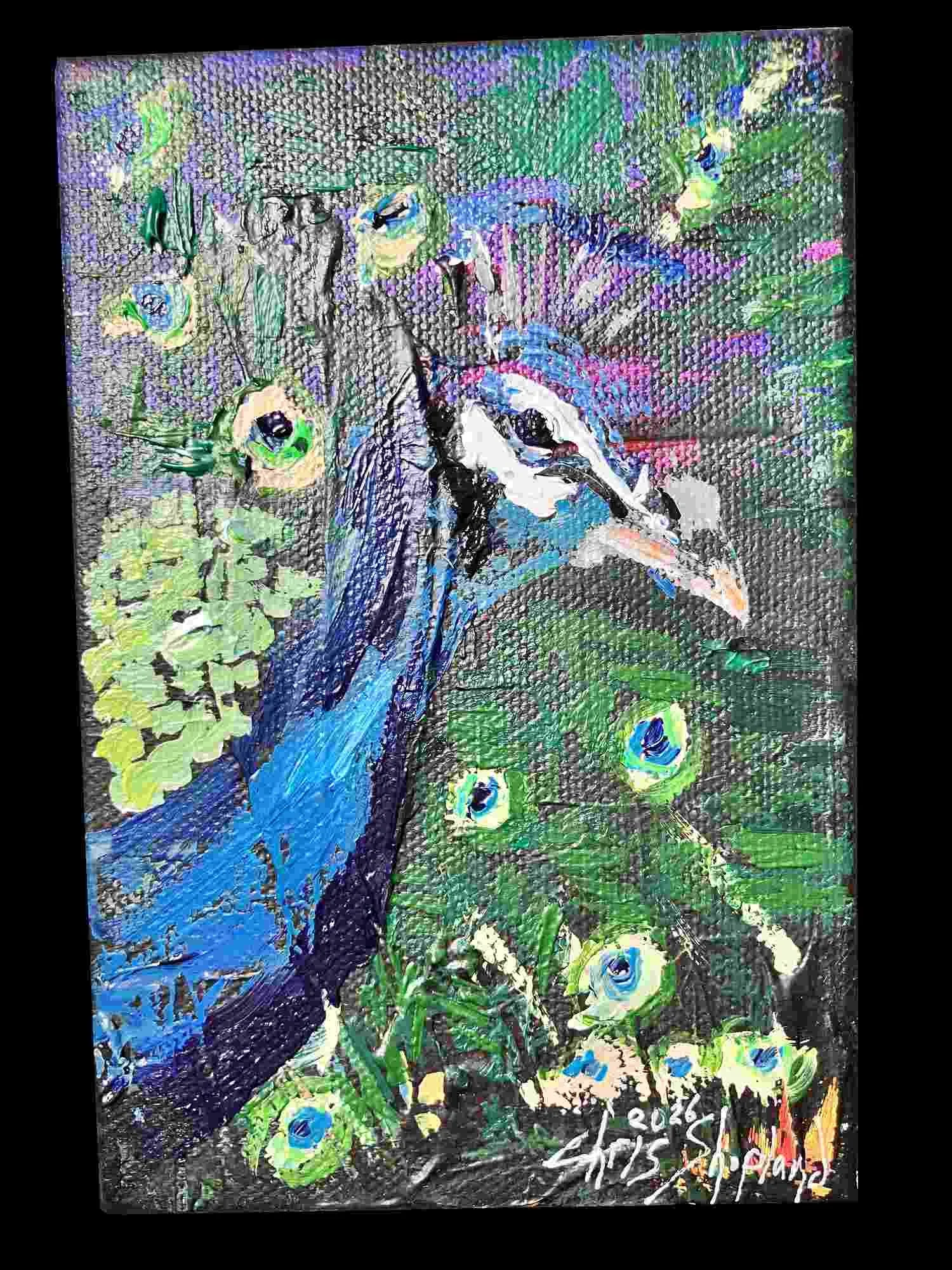 chris shopland peacockbirbfest.jpg