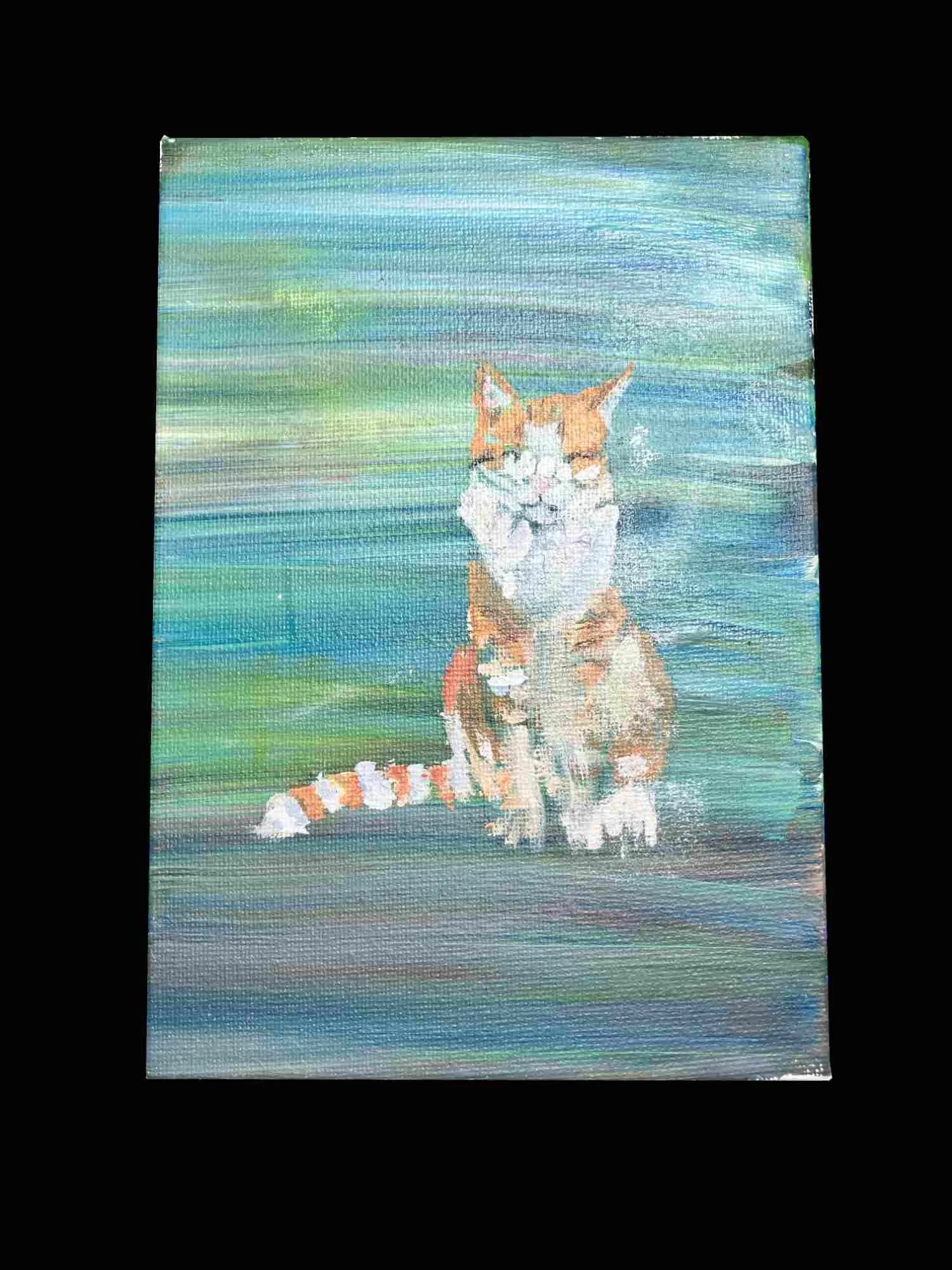 cat chris shoplaand black .jpg