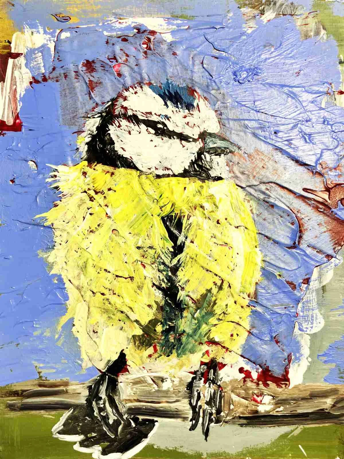 not so common tit chris shopland.jpg