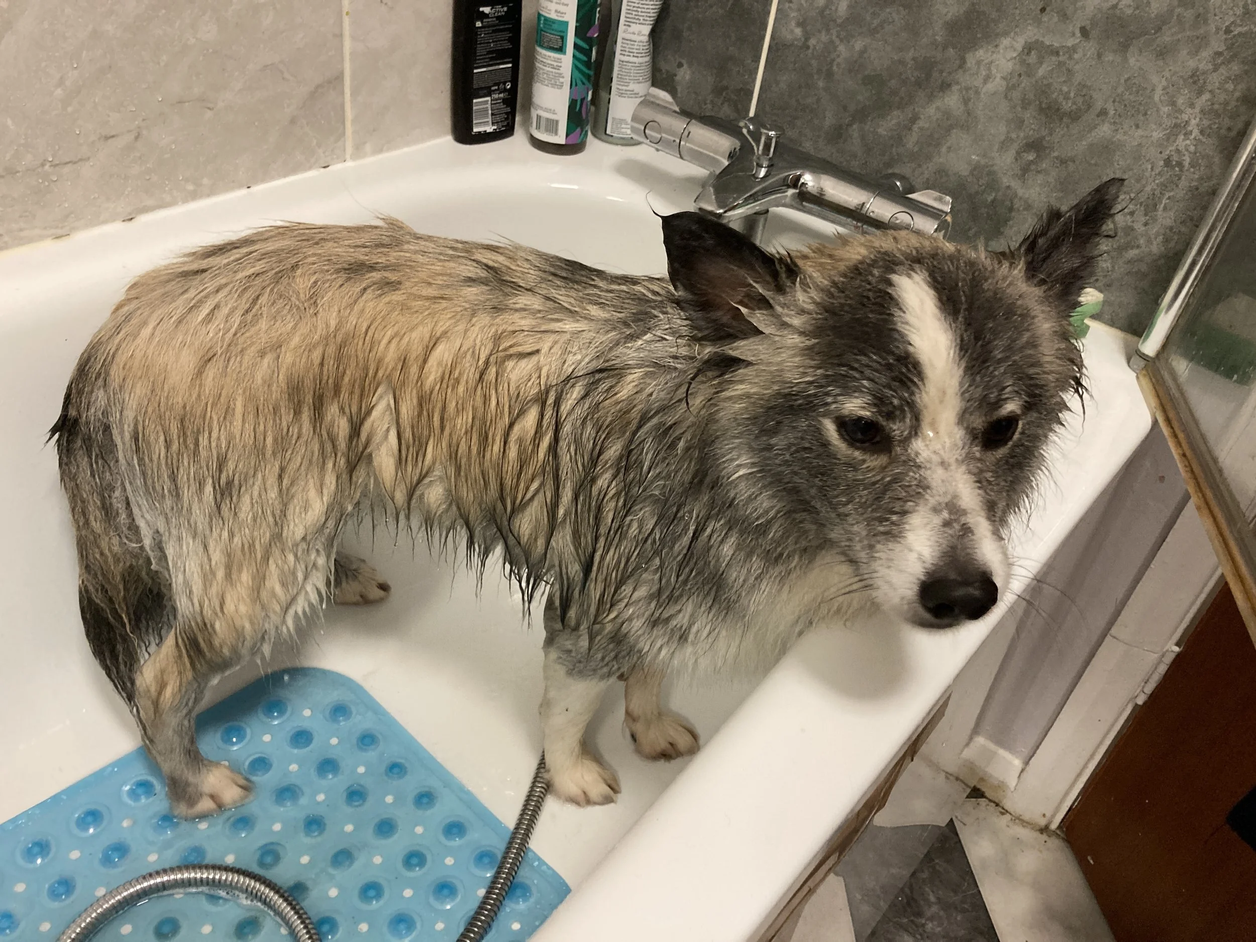 bathtime ralph rafi - 1.jpeg