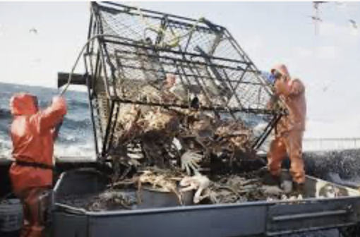 Screenshot 2026-03-16 at 08.31.55.png