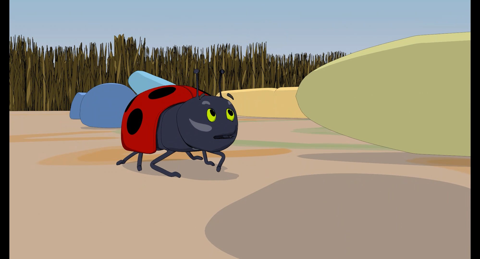 bug50.jpg