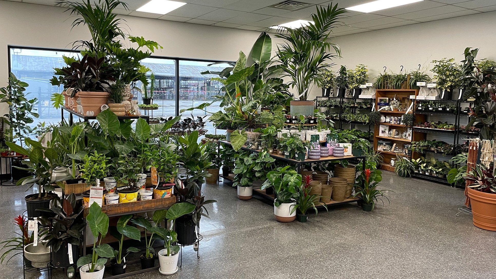  Our new location in the NULU neighborhood allows for a large selection of unique and interesting indoor plants, pots, fountains, and other gardening essentials.  