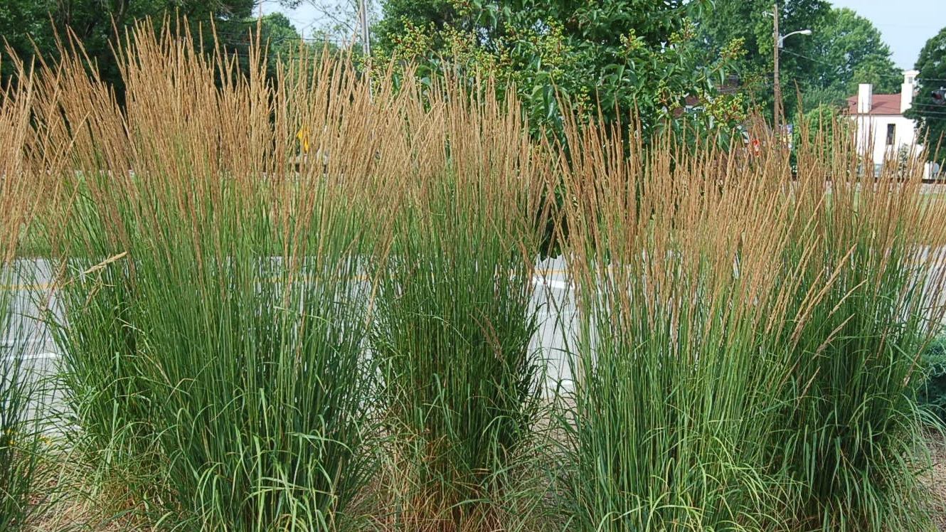 Looking for something specific? 