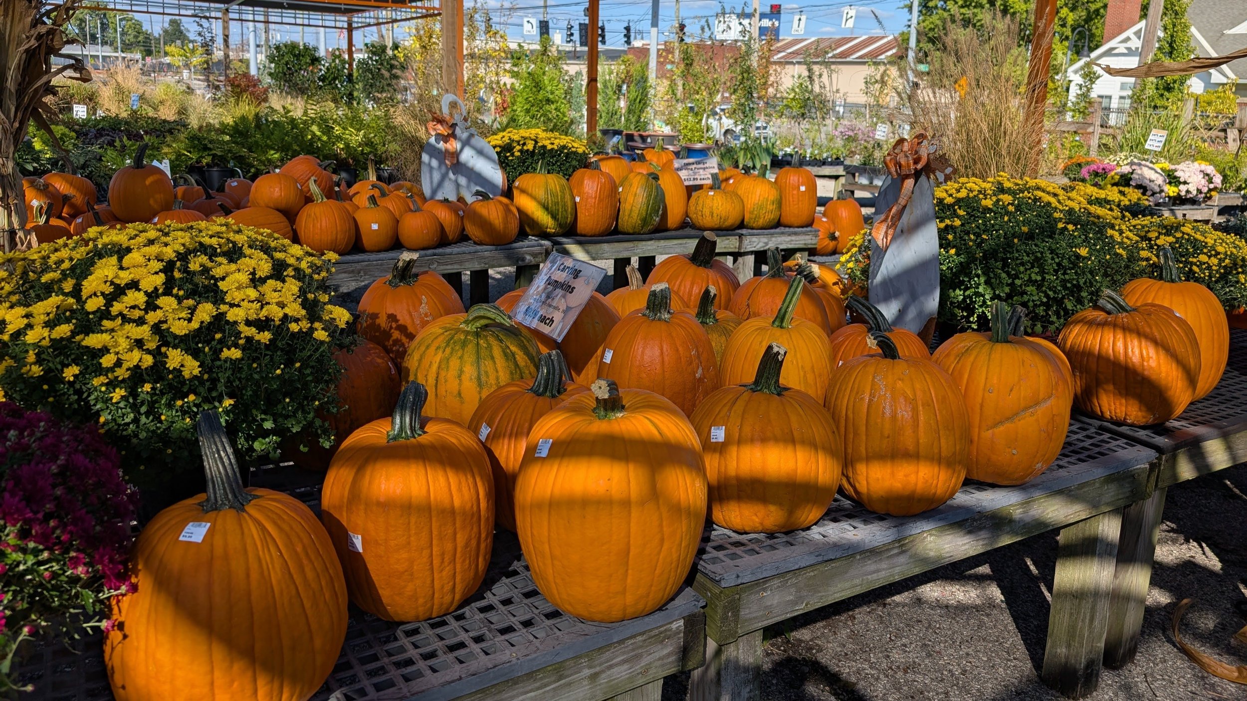 Pumpkins