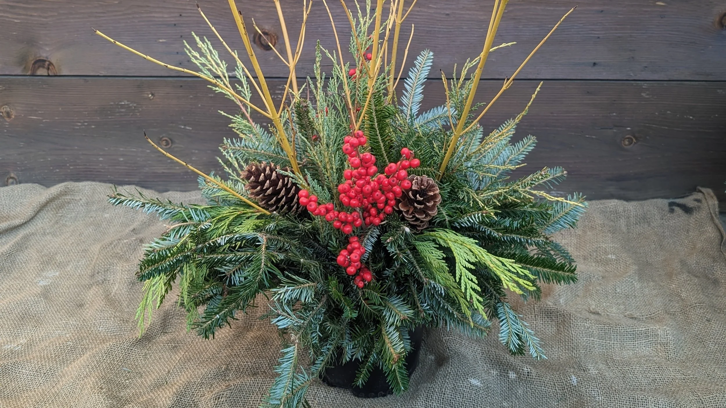 Winter Arrangements