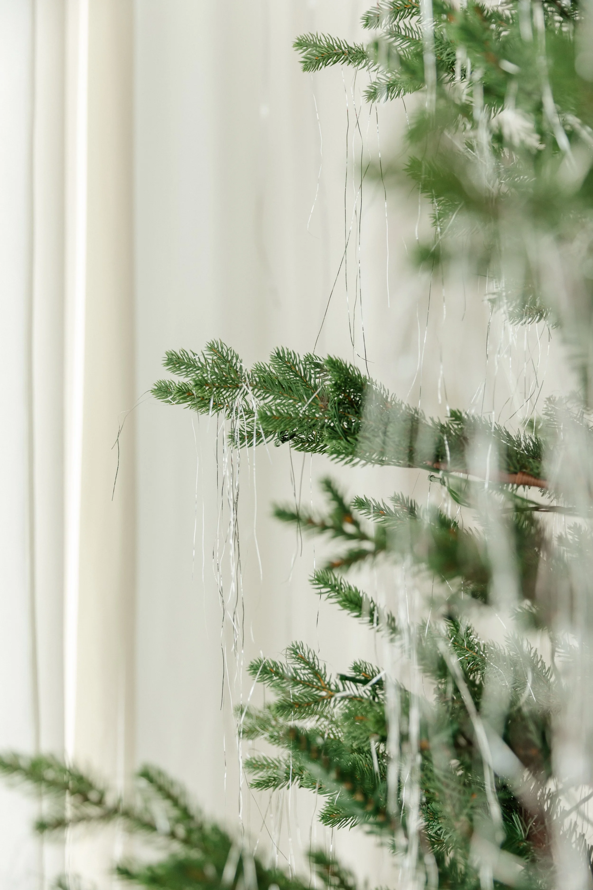 Studio702Christmas-16.jpg