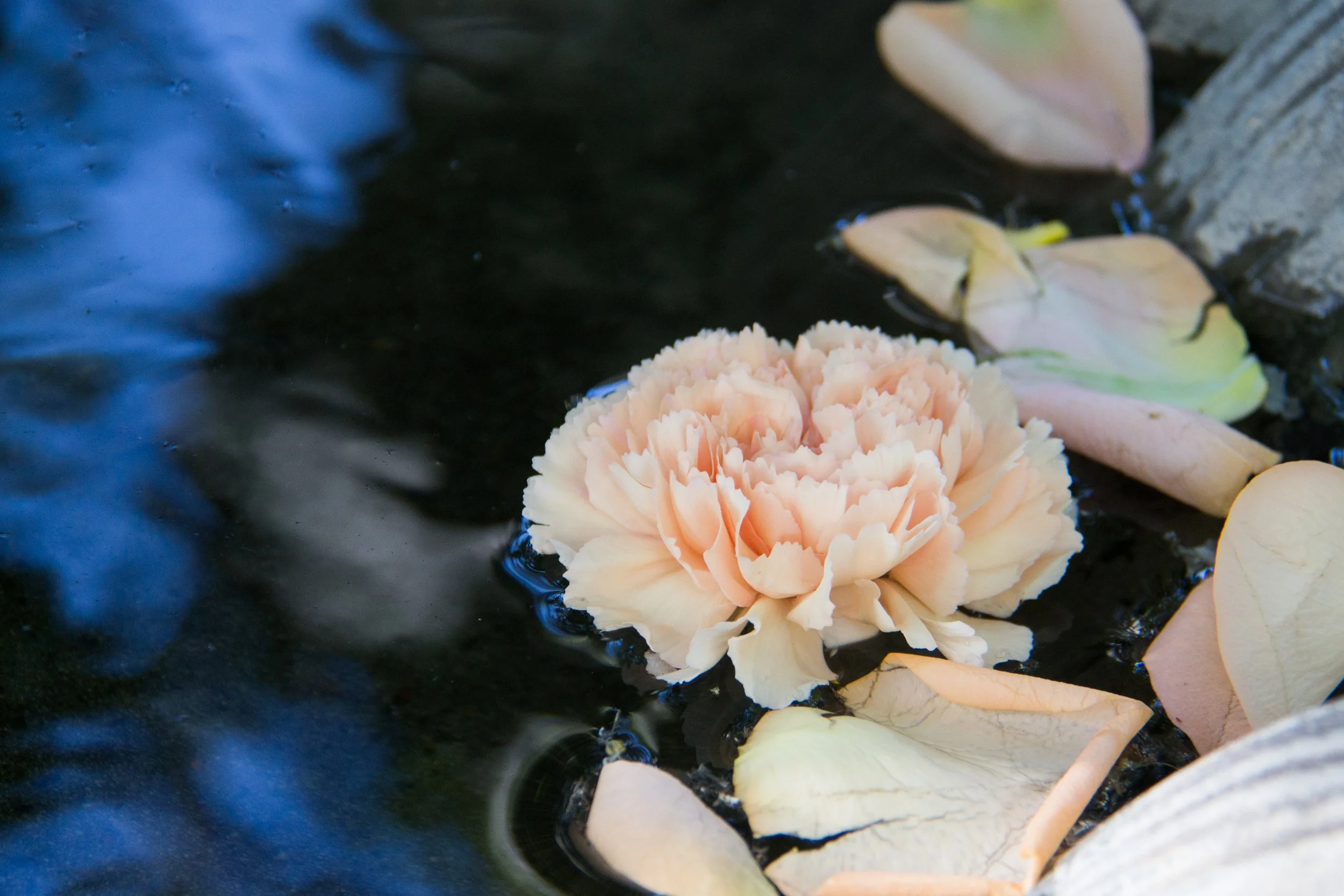 KCD16_GonatasWedding-164.jpg
