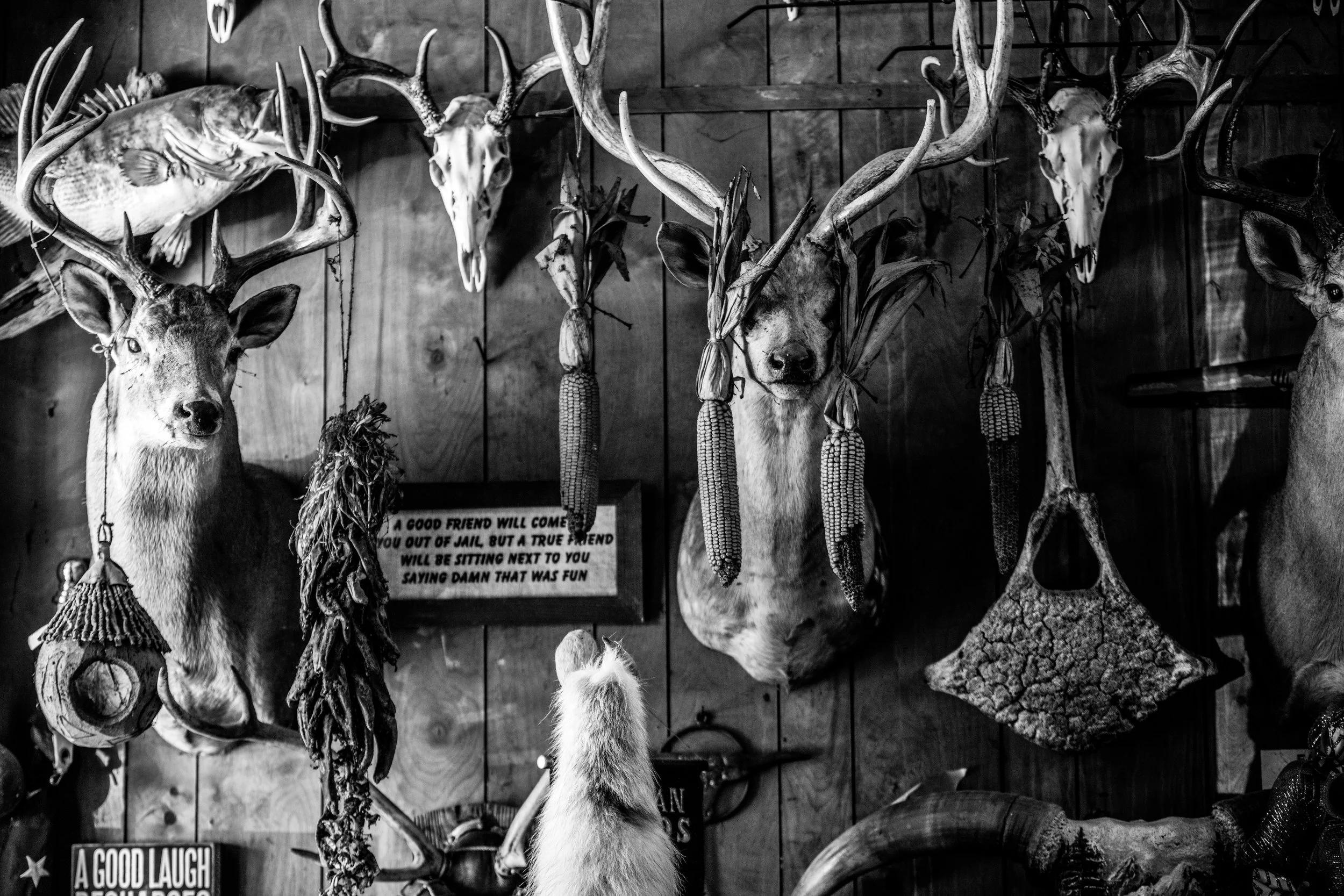 KCD19_Kaspers_BW-4.jpg