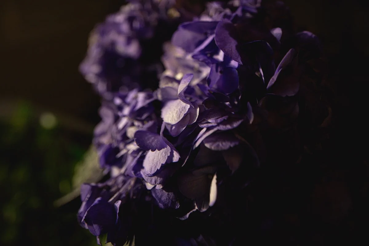 KCD20_MomsBreads-PurpleHydrangeas_SocialMedia.jpg