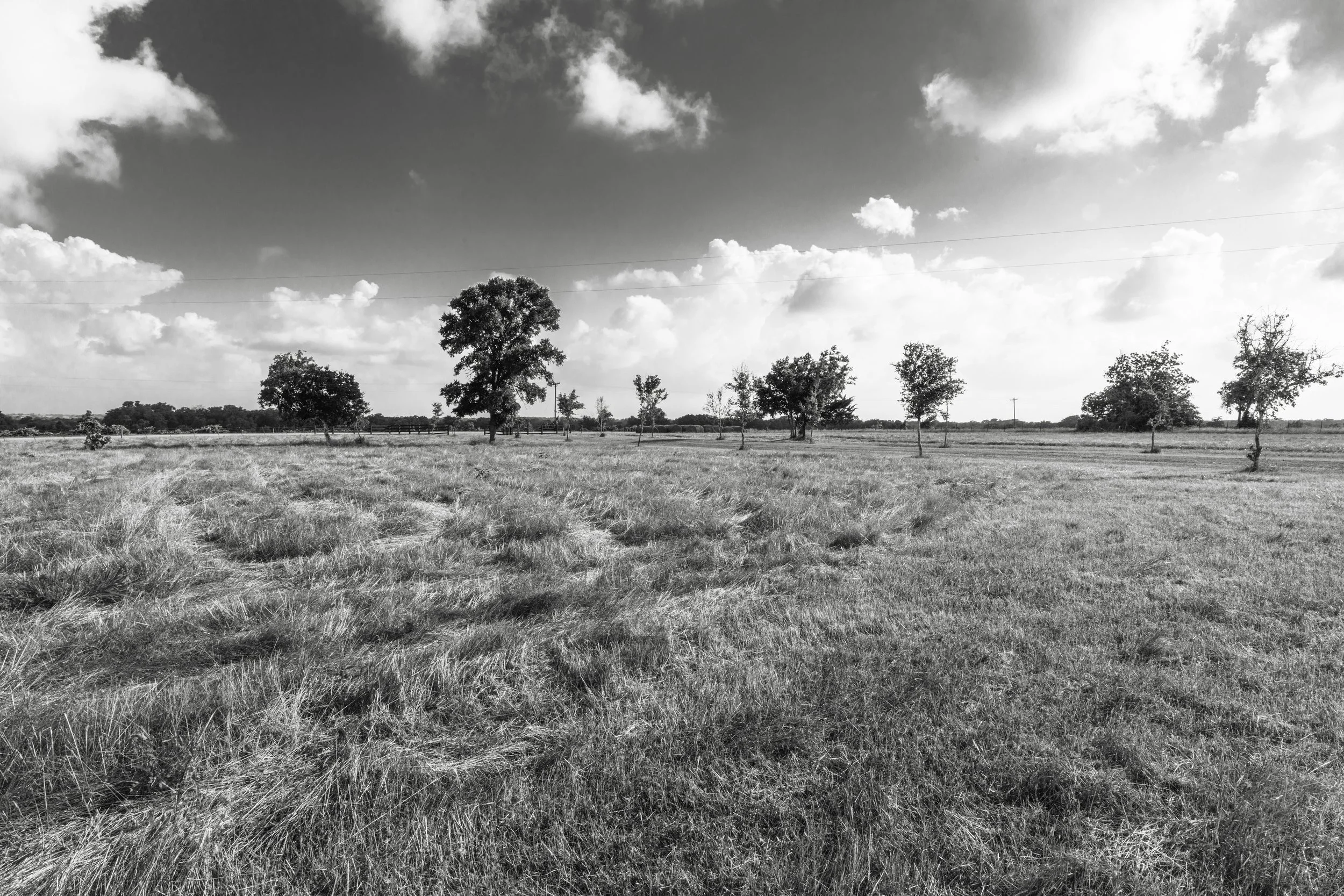 KCD19_TheGreadyFarm_BW-33.jpg