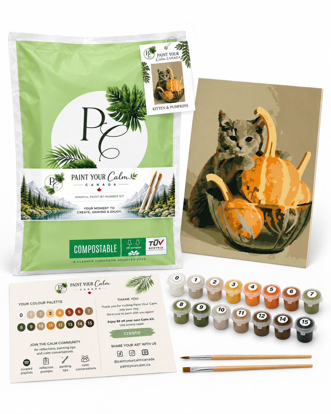 Pumpkin Kitten Soothing Relaxation Art Set