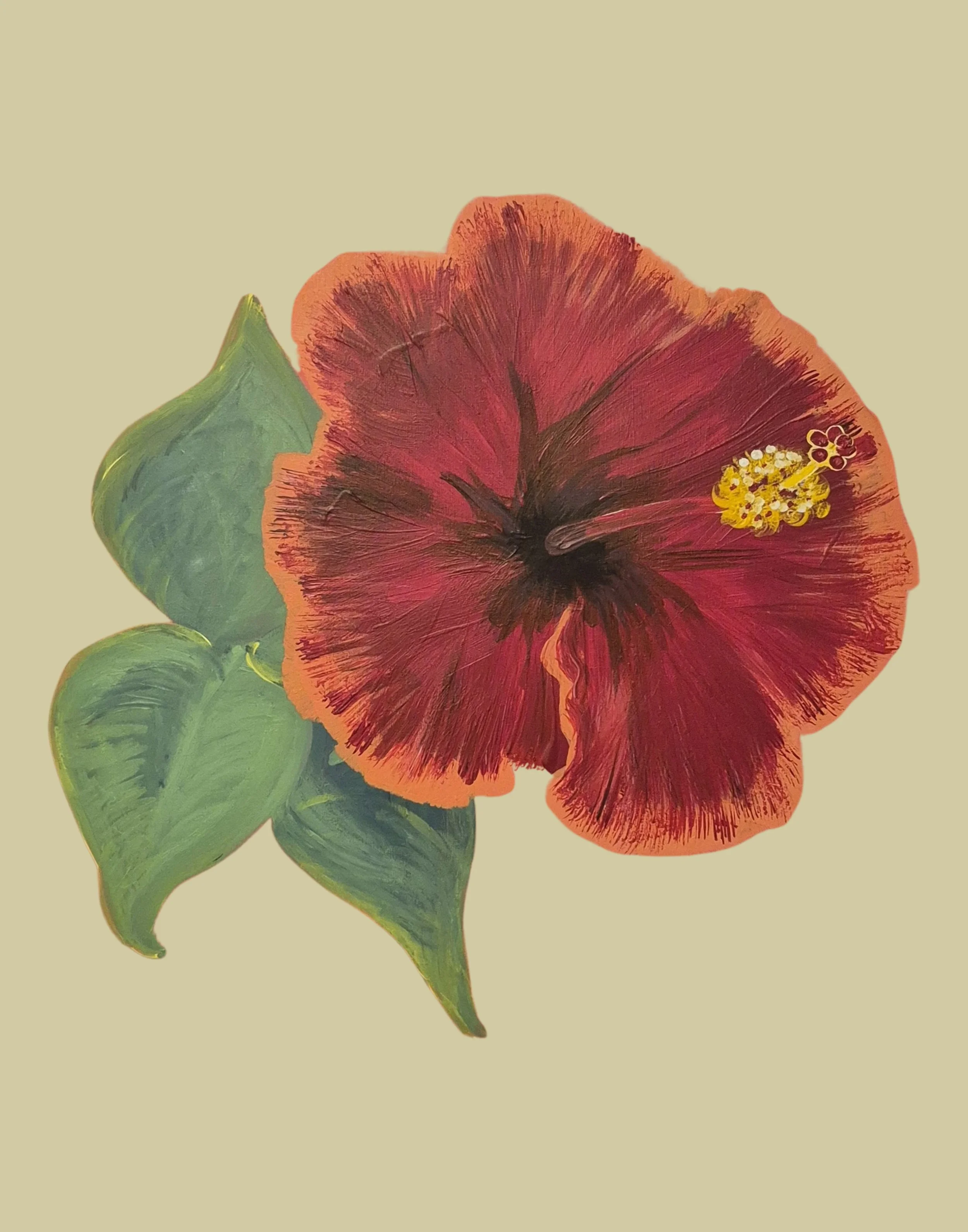 carribbean hibiscus.jpg
