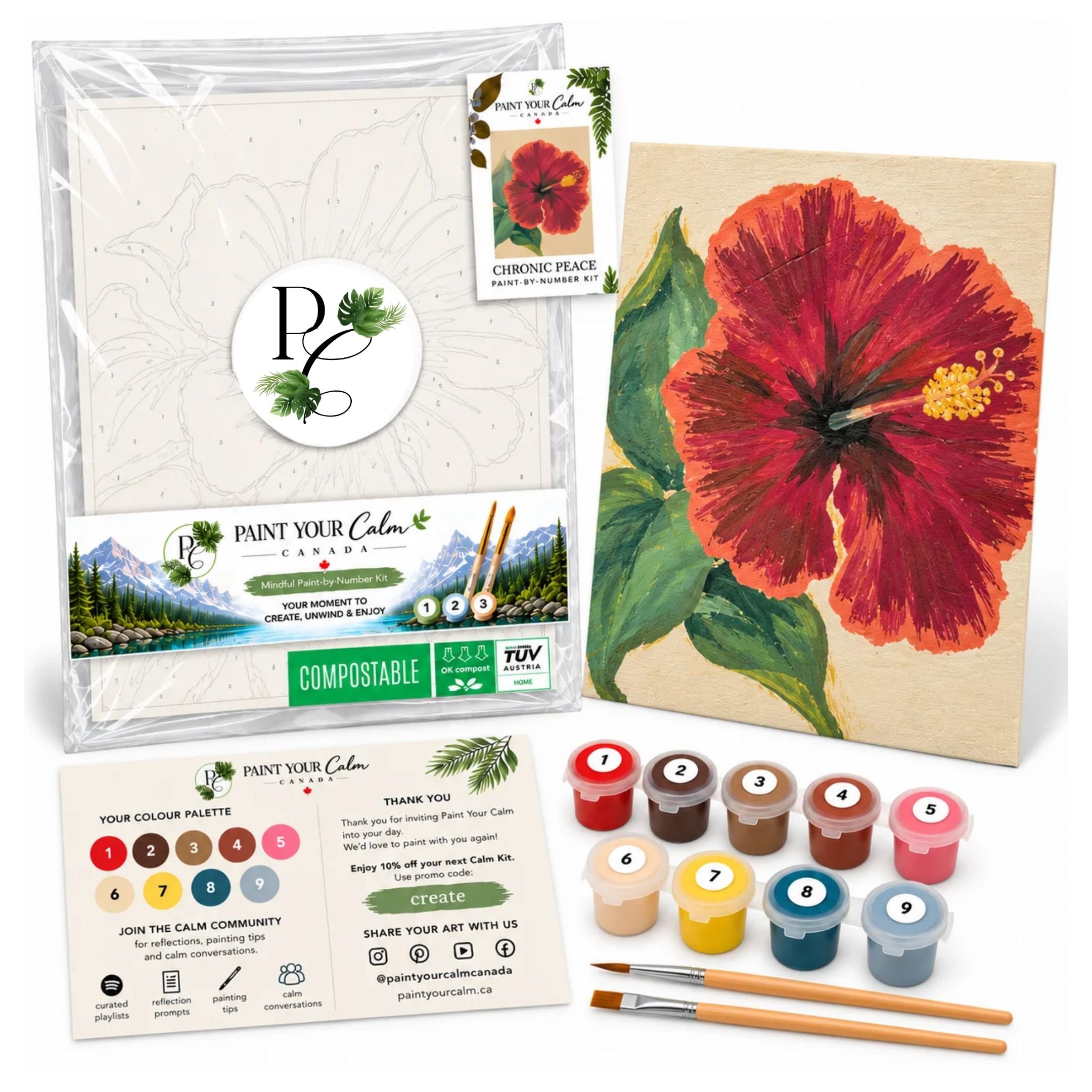 Hibiscus Caribbean Dreams Paint-By-Numbers Peace Practice Kit