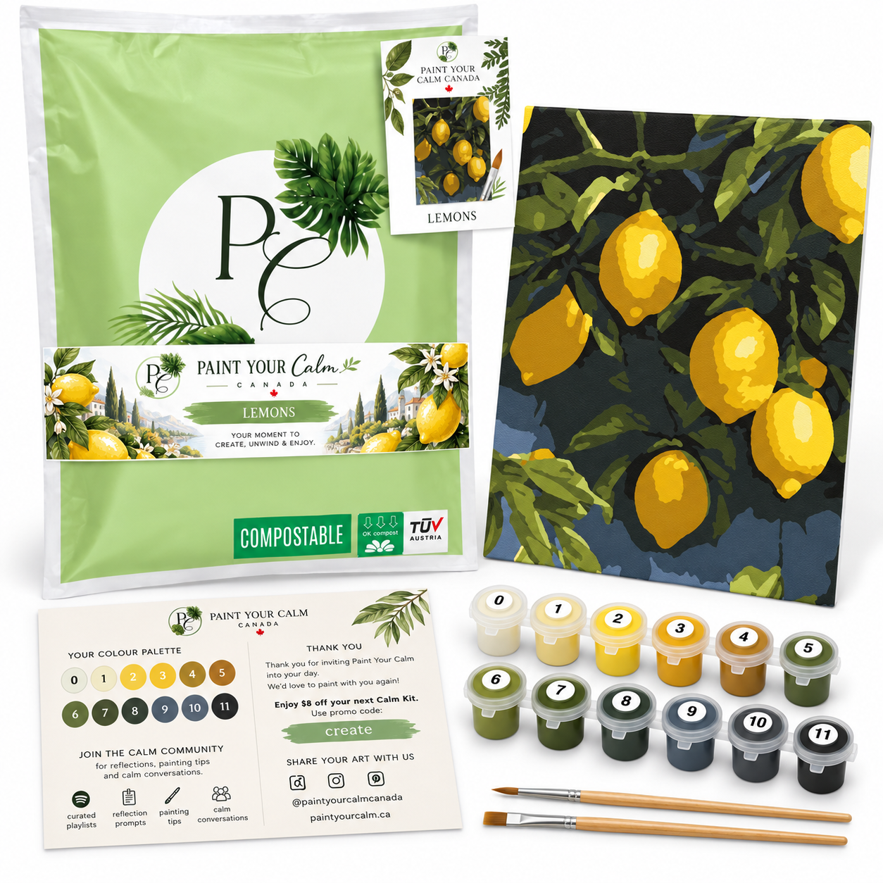 Lemonade Calming Paint Anywhere Kit