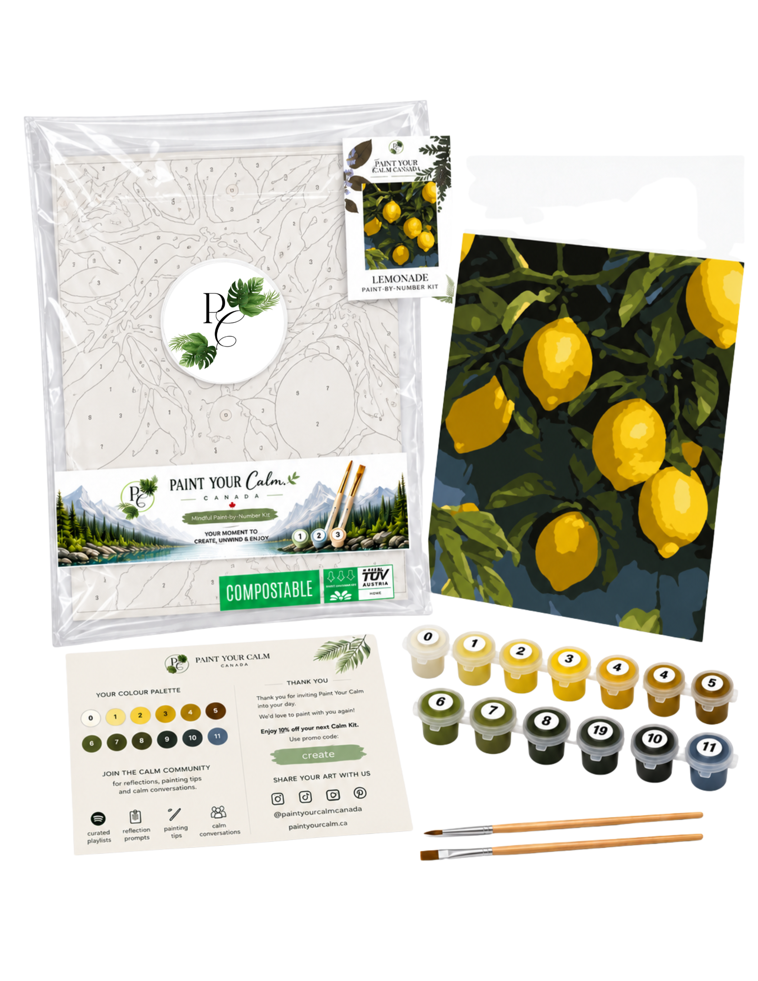 Lemonade Calming Paint Anywhere Kit