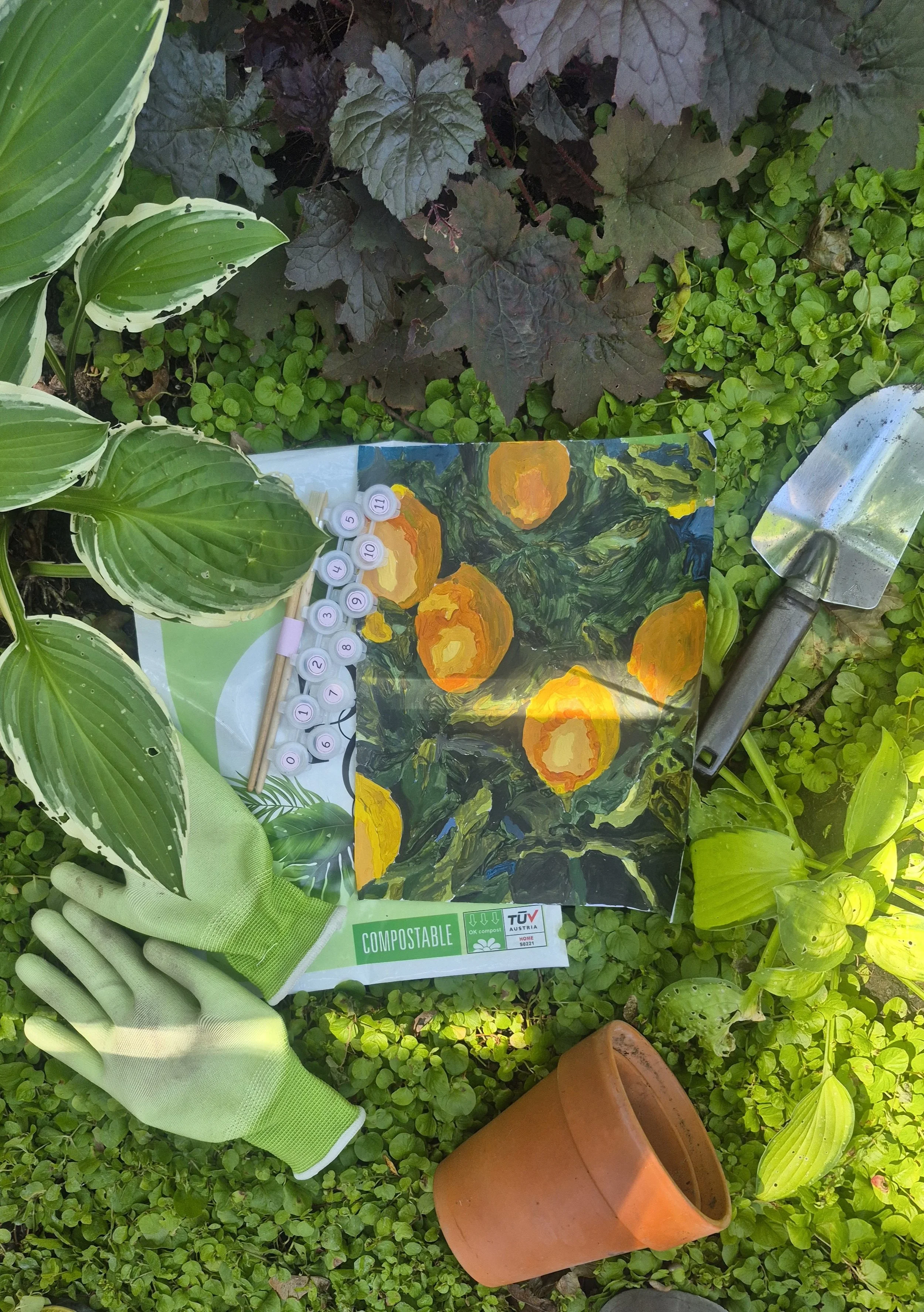 lemons in the garden.jpg