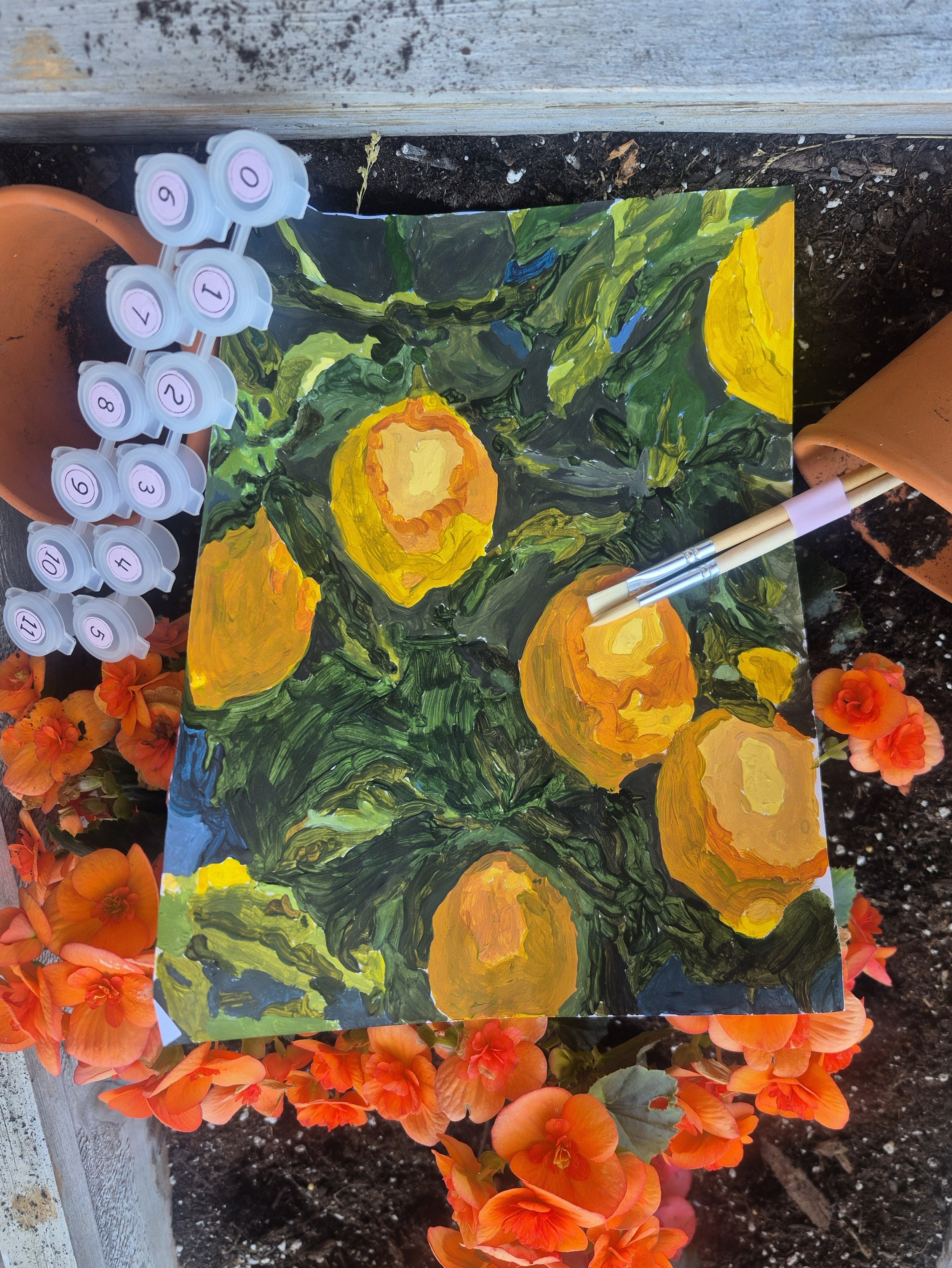 lemons in flower bed.jpg