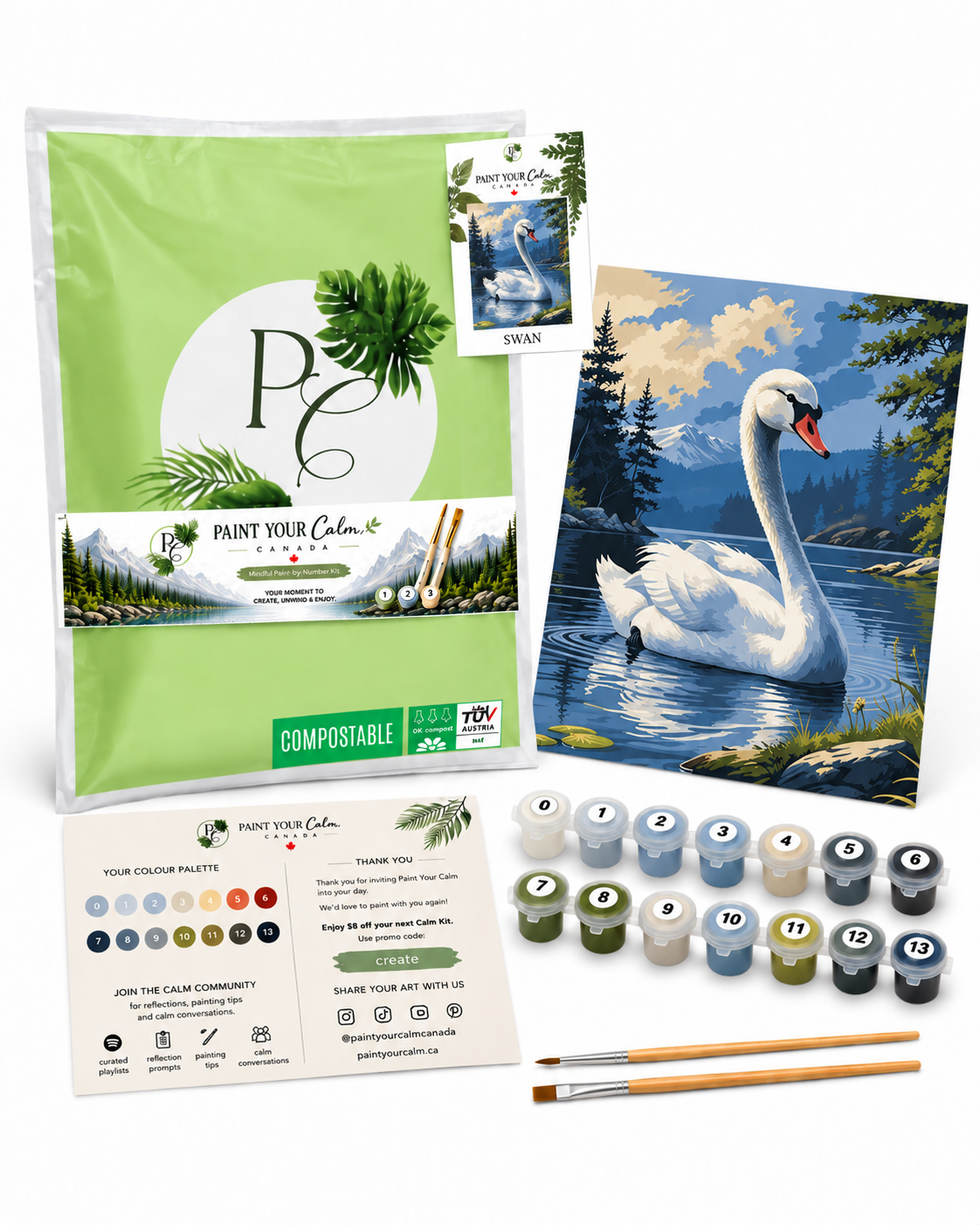 Serene Swan Lake Paint-by-Numbers Kit