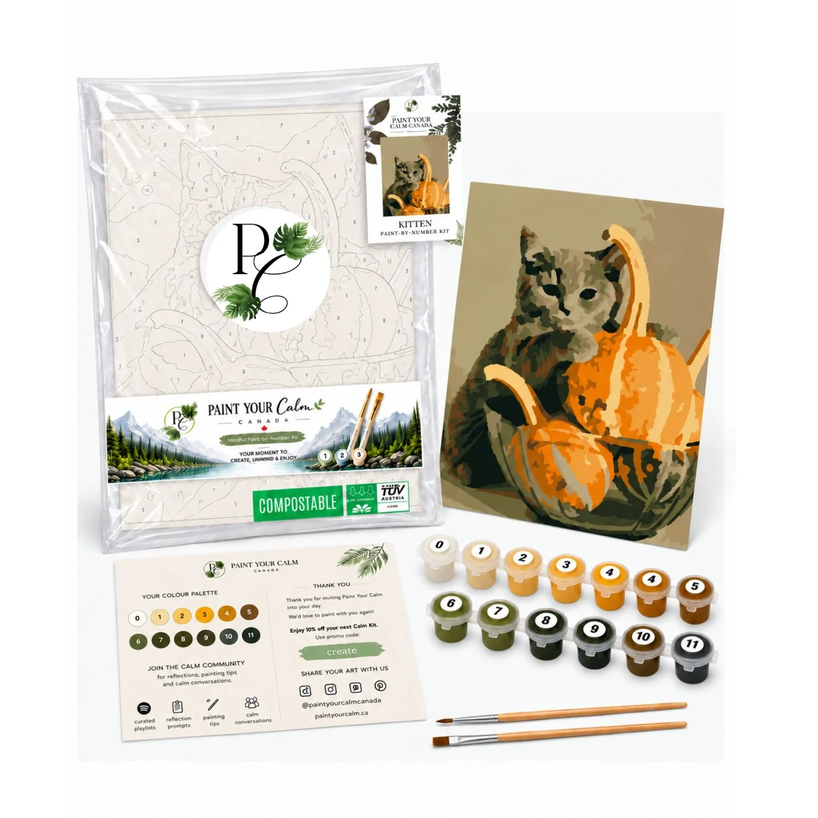 Pumpkin Kitten Soothing Relaxation Art Set