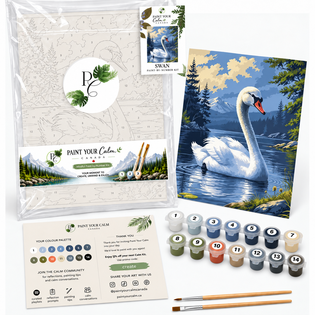 Serene Swan Lake Paint-by-Numbers Kit