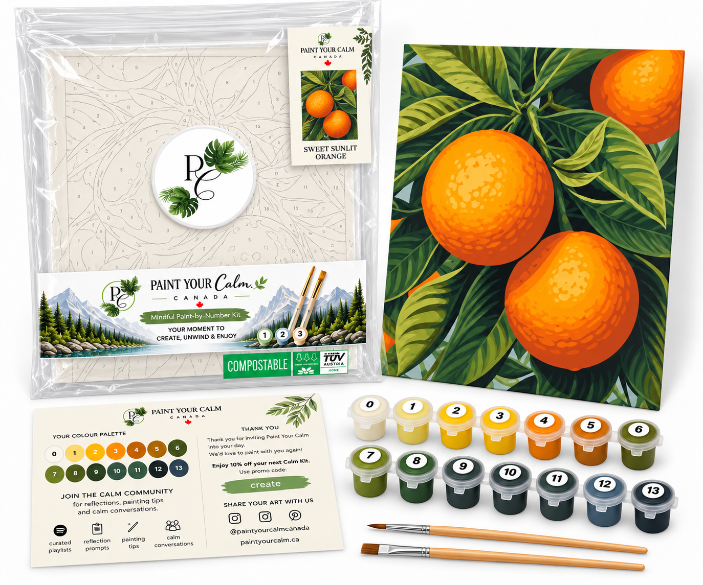 Sweet Sunlit Orange Clear kit.png