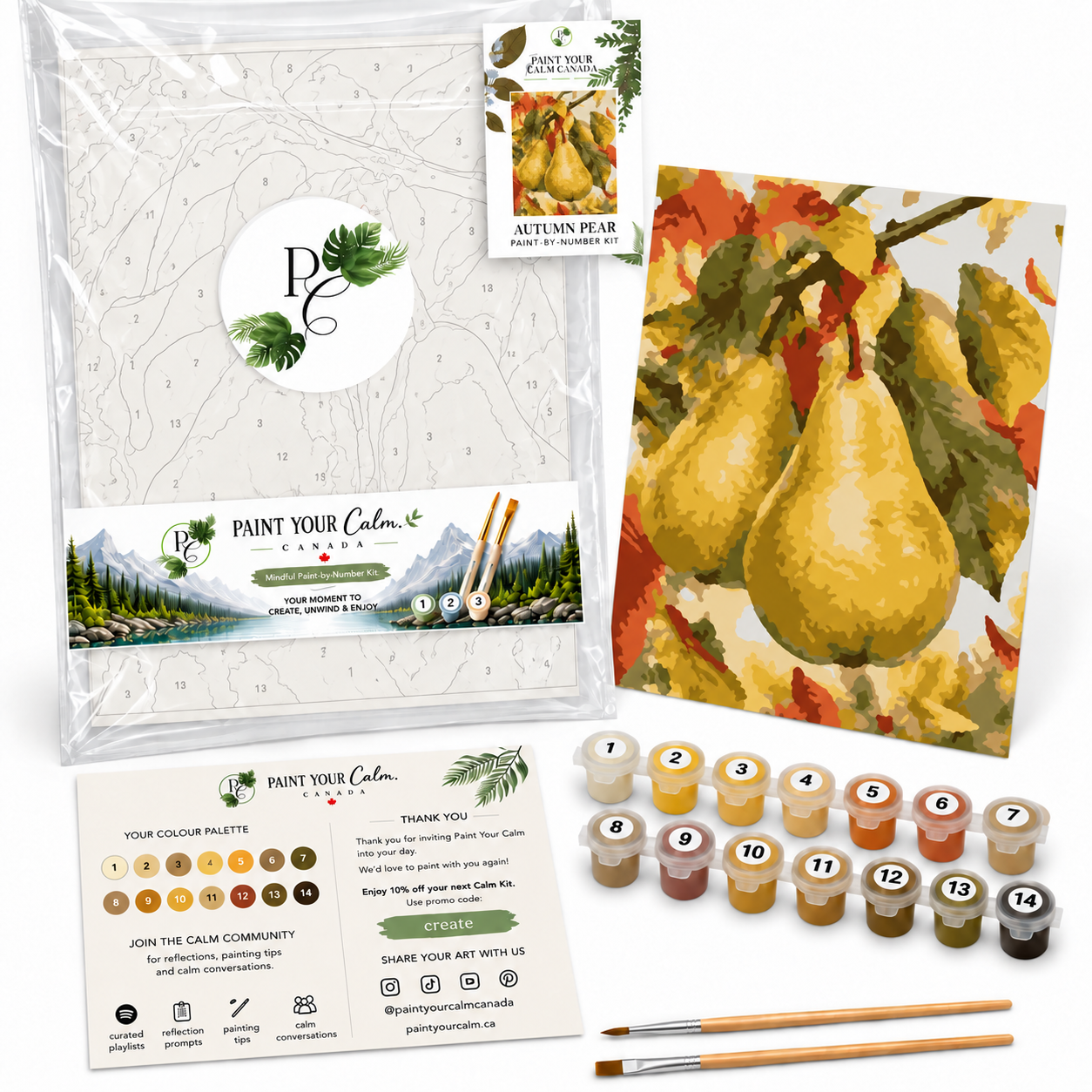 Peaceful Autumn Pear Mature Mind Intermediate Reflection Paint Set