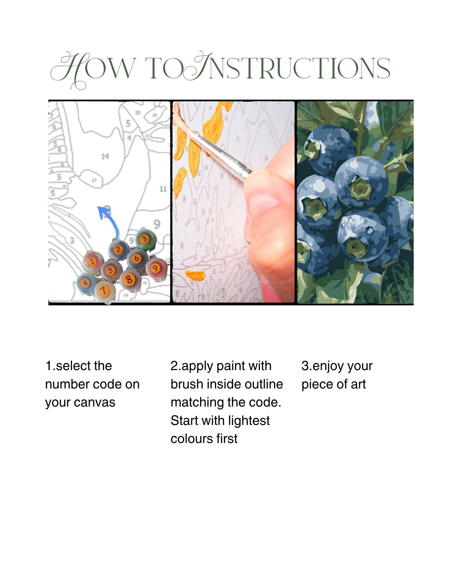 break blueberries instructions.jpg