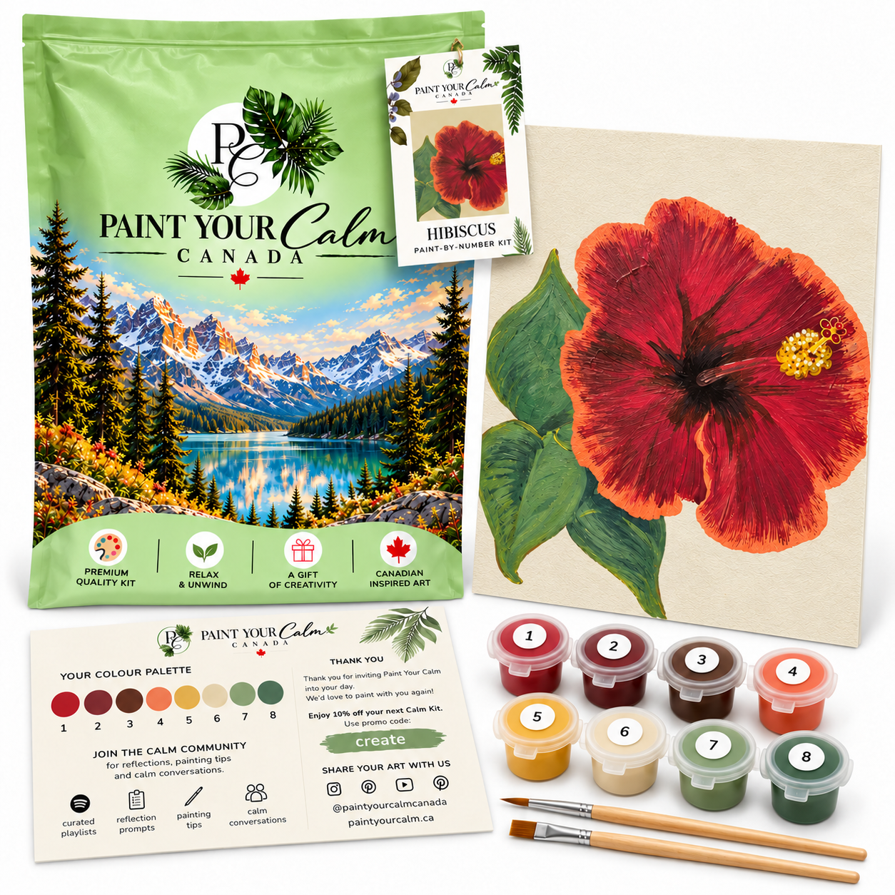 Hibiscus Caribbean Dreams Paint-By-Numbers Peace Practice Kit