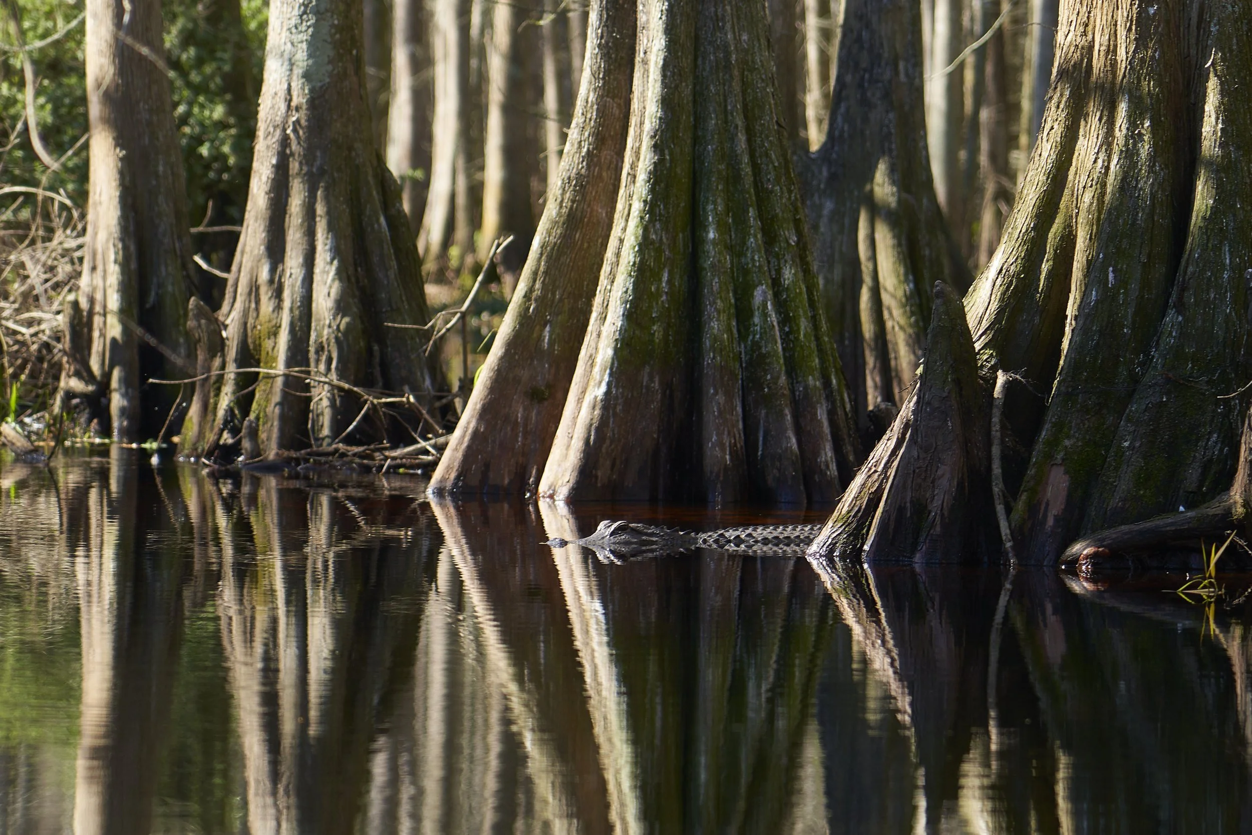 Still Waters
