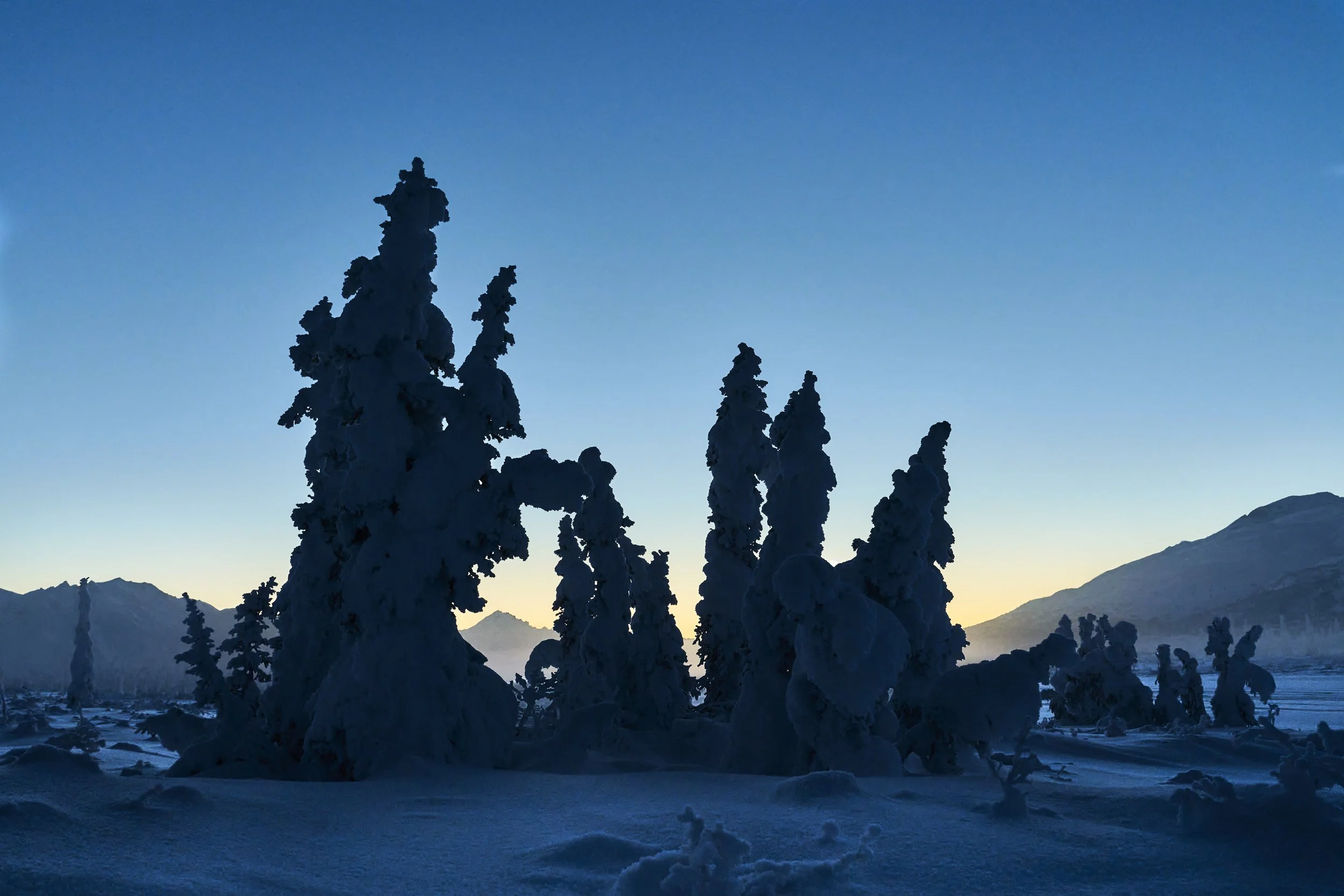 Rime Ice in Alaska