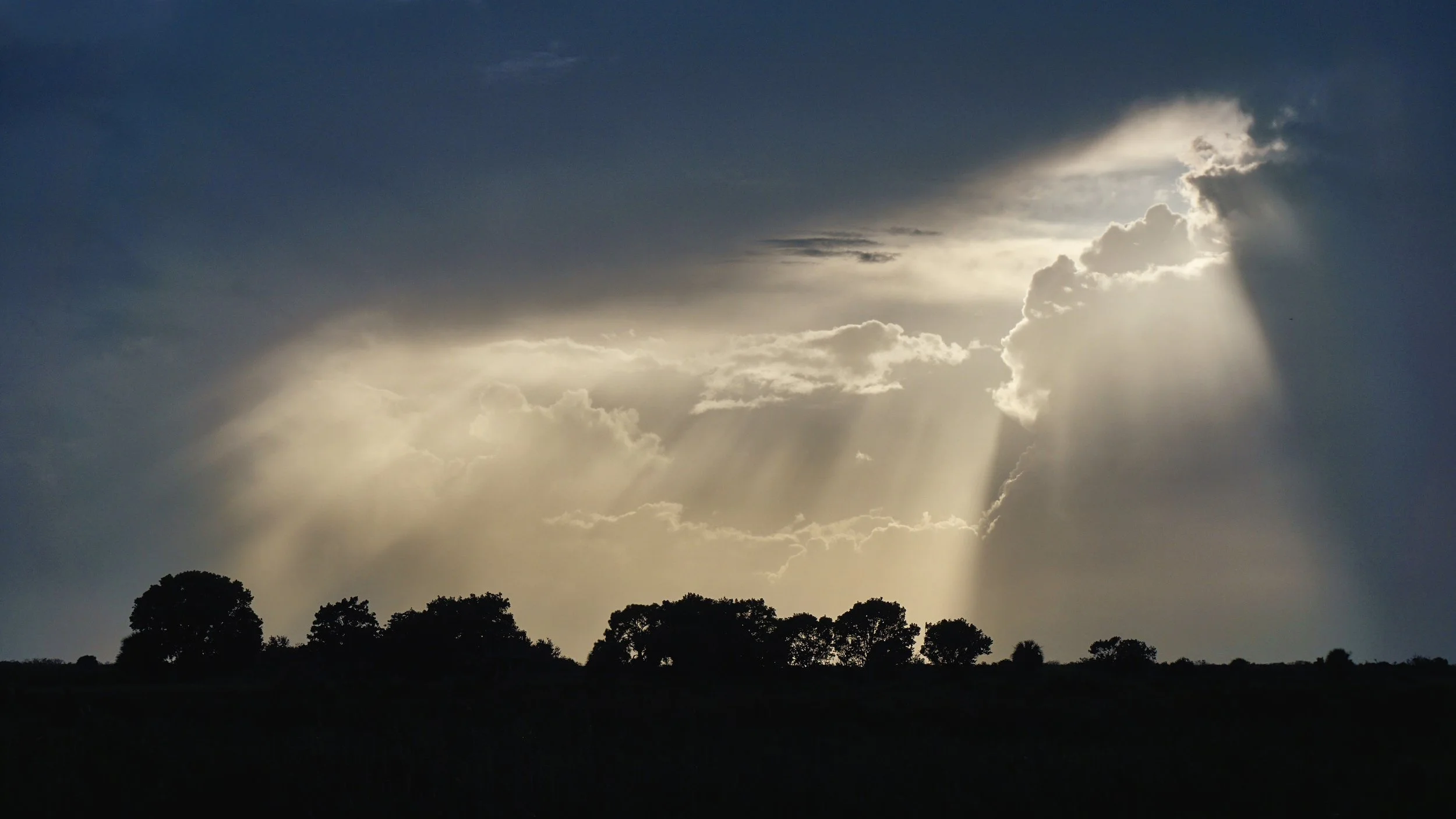 Sunlight silhouetting the Everglades. 