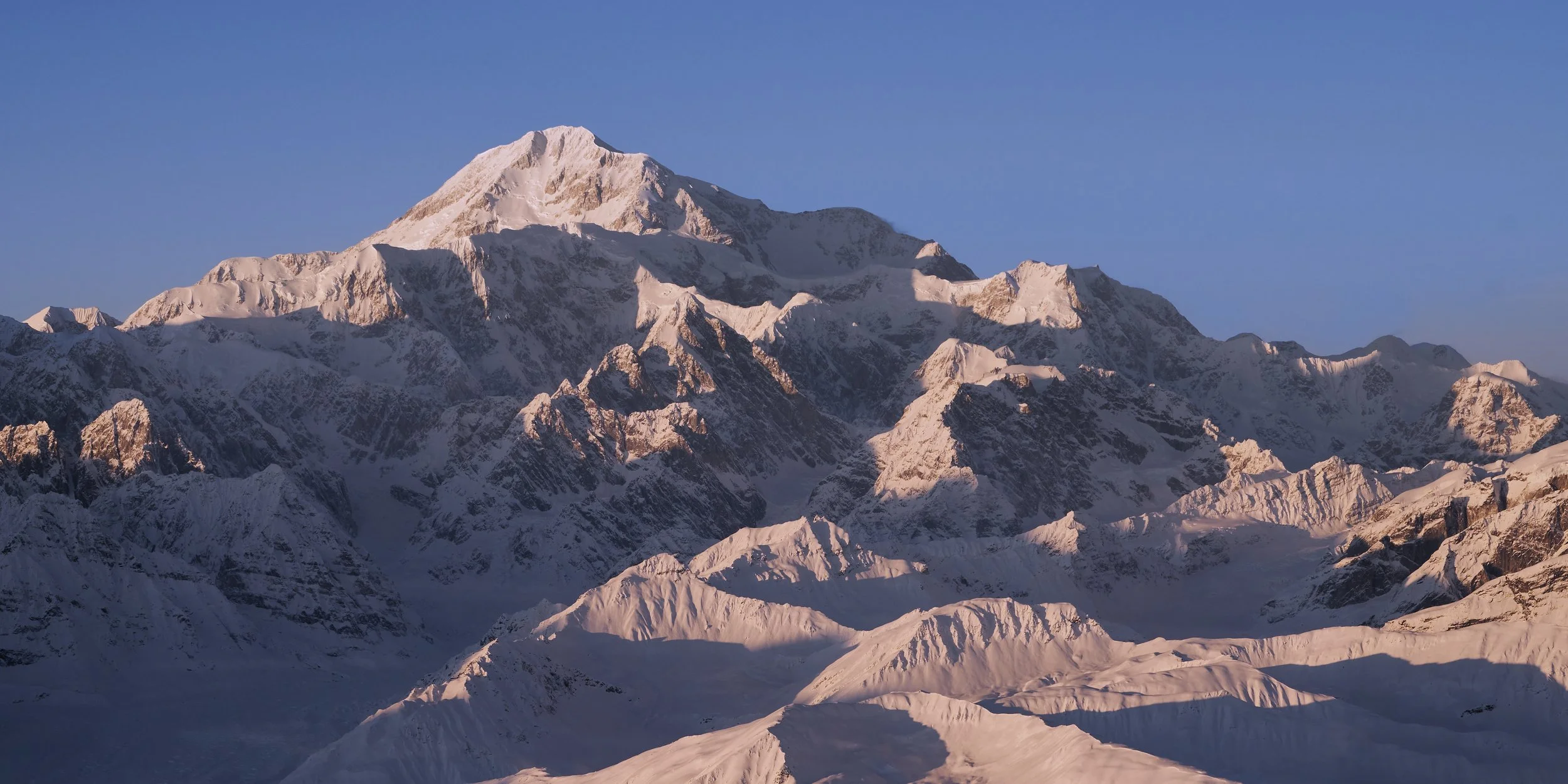 A portrait of Denali.